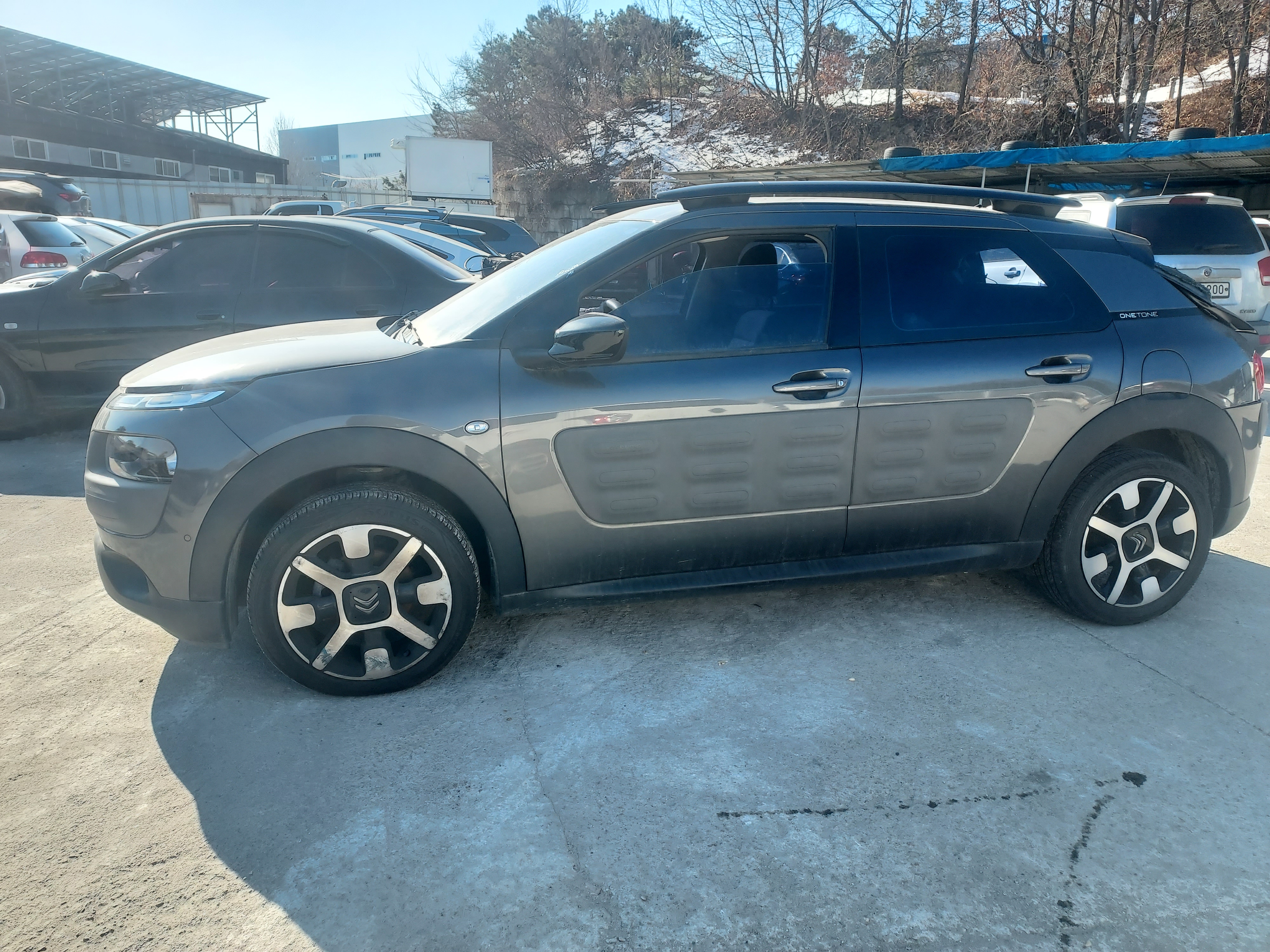 2018 Citroen C4 Cactus