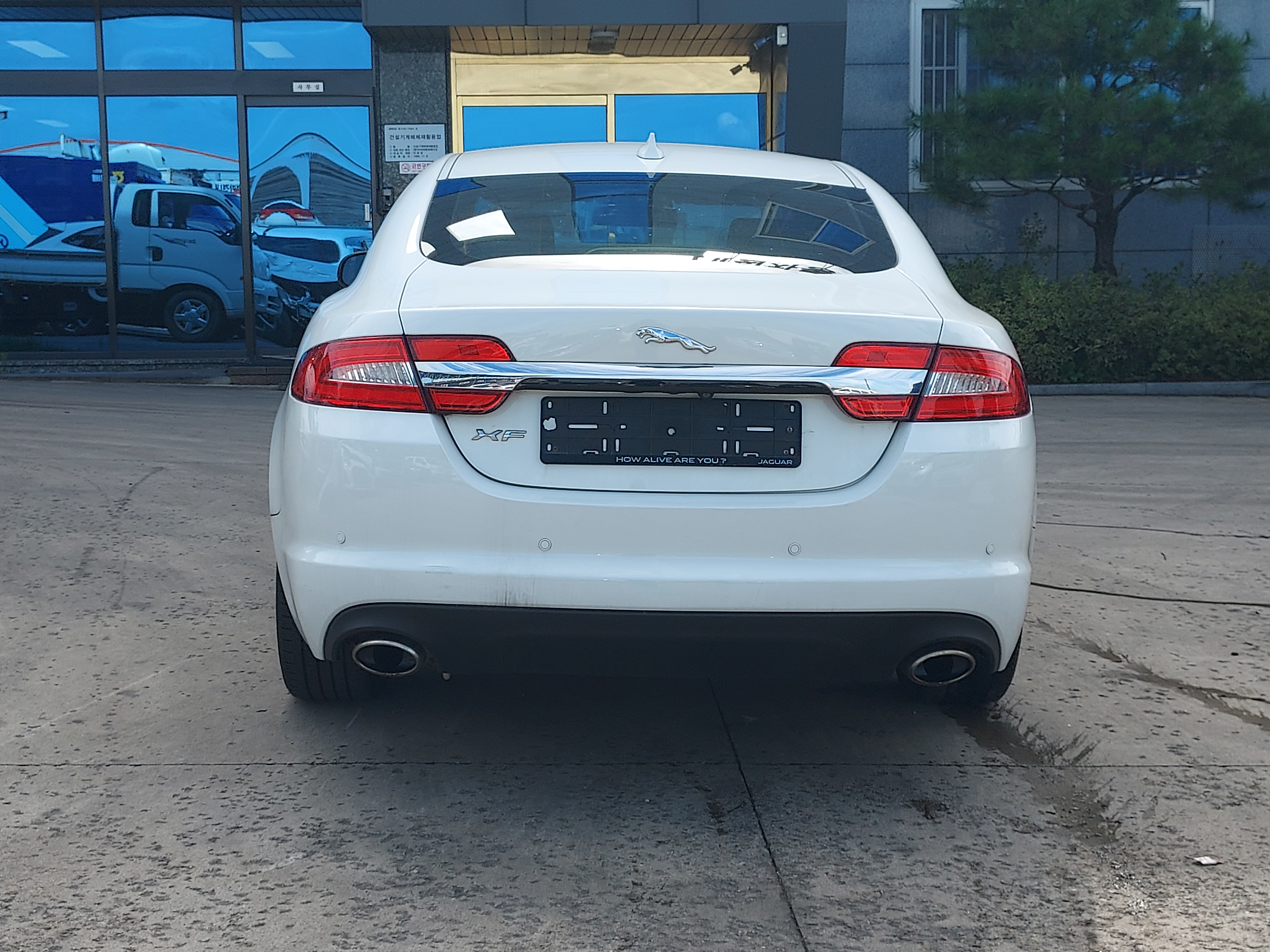 2014 Jaguar New XF