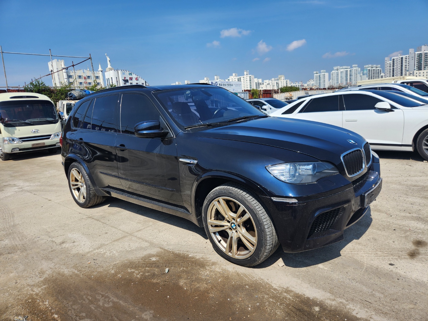 2010 BMW X5M (E70)