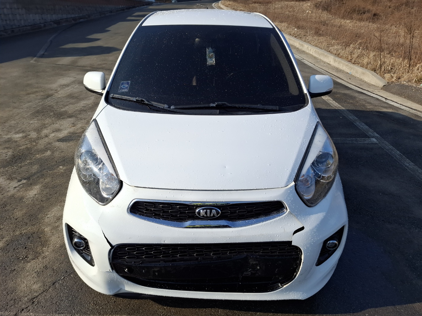 2016 Kia The New Morning
