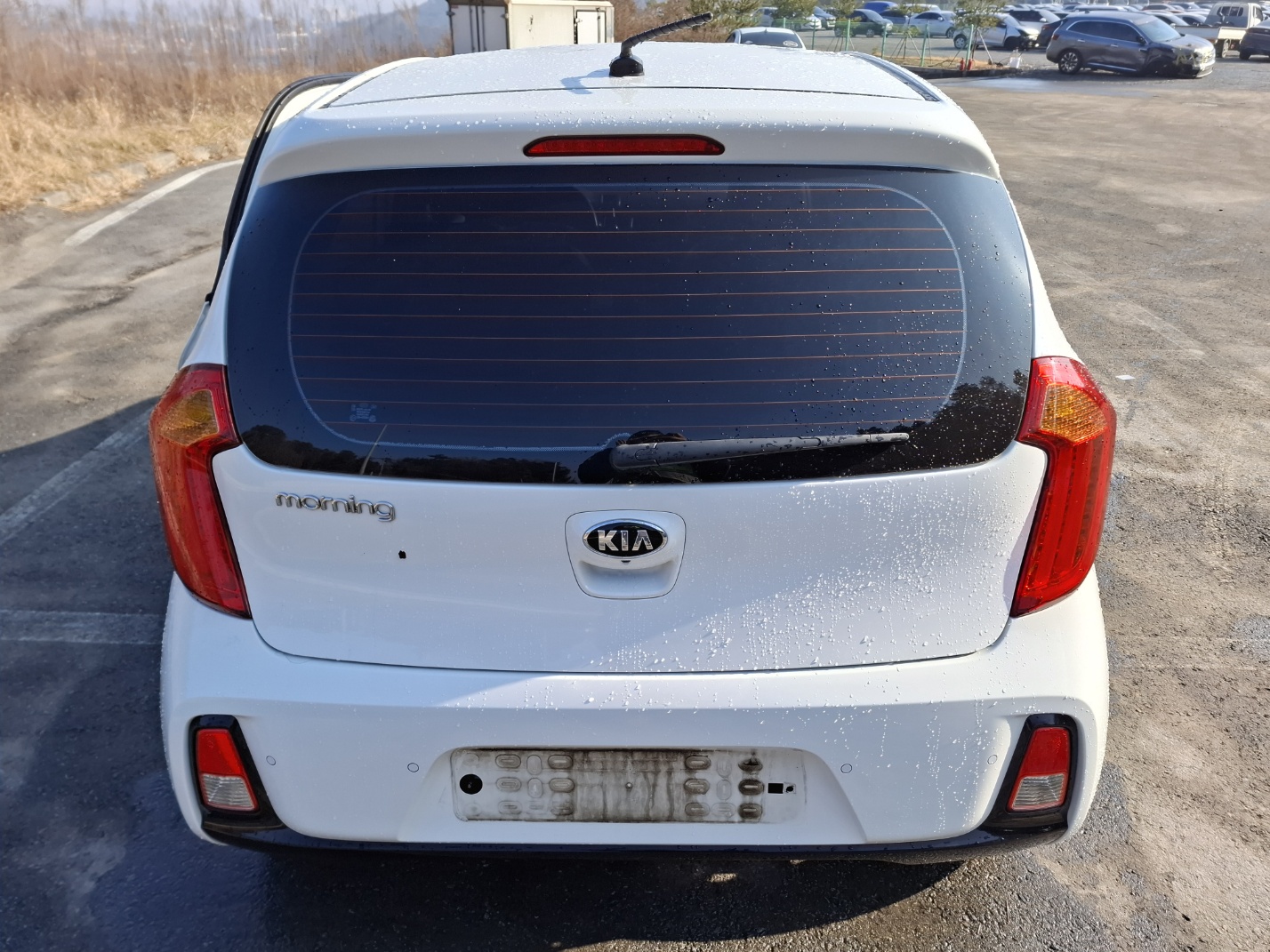 2016 Kia The New Morning