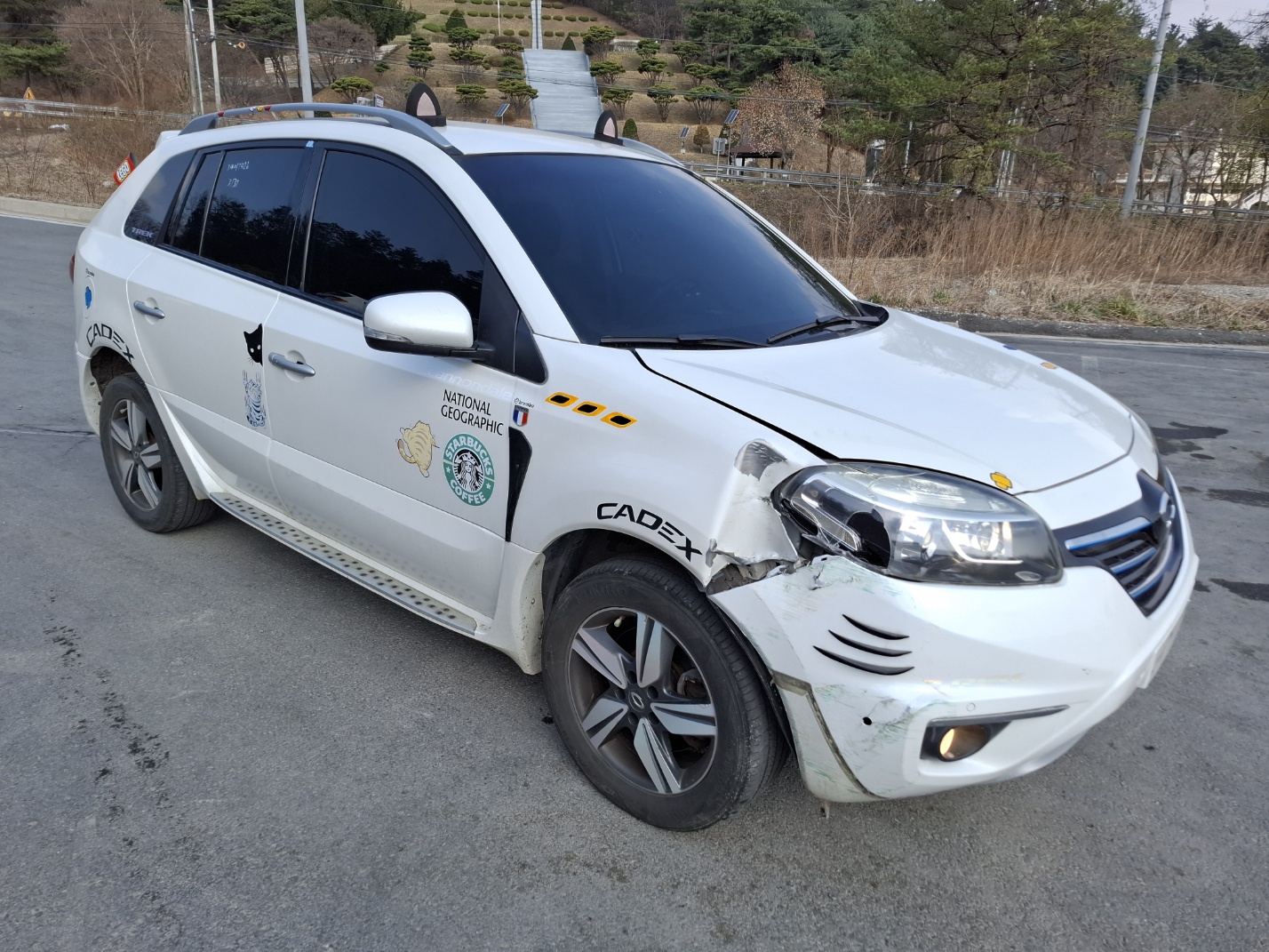 2014 Renault QM5 Neo