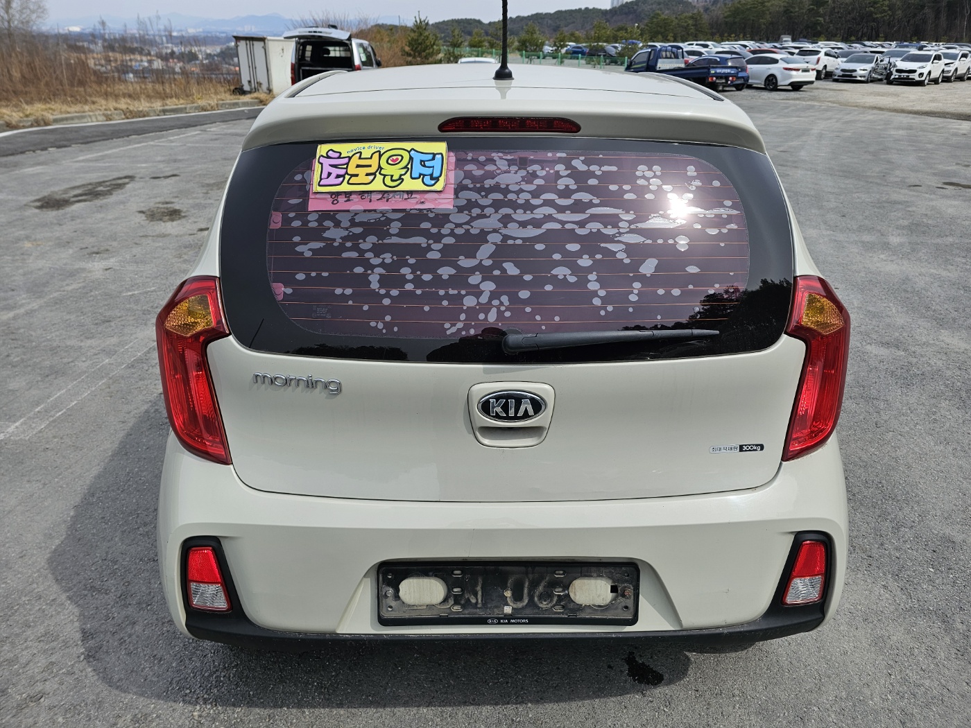 2016 Kia The New Morning