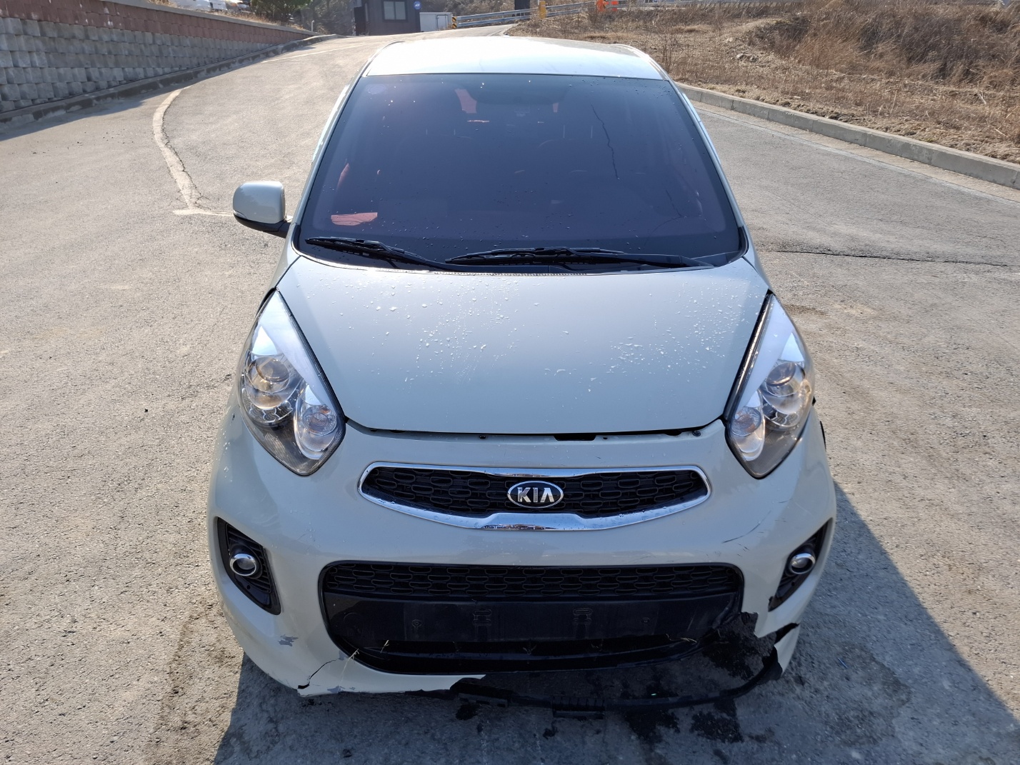 2016 Kia The New Morning