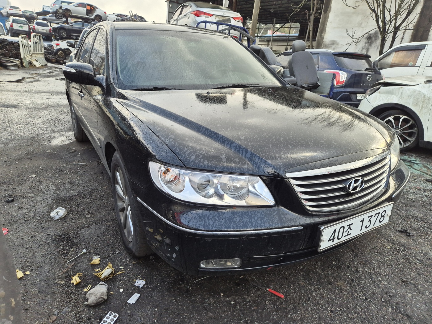 2010 Hyundai The Luxury Grandeur