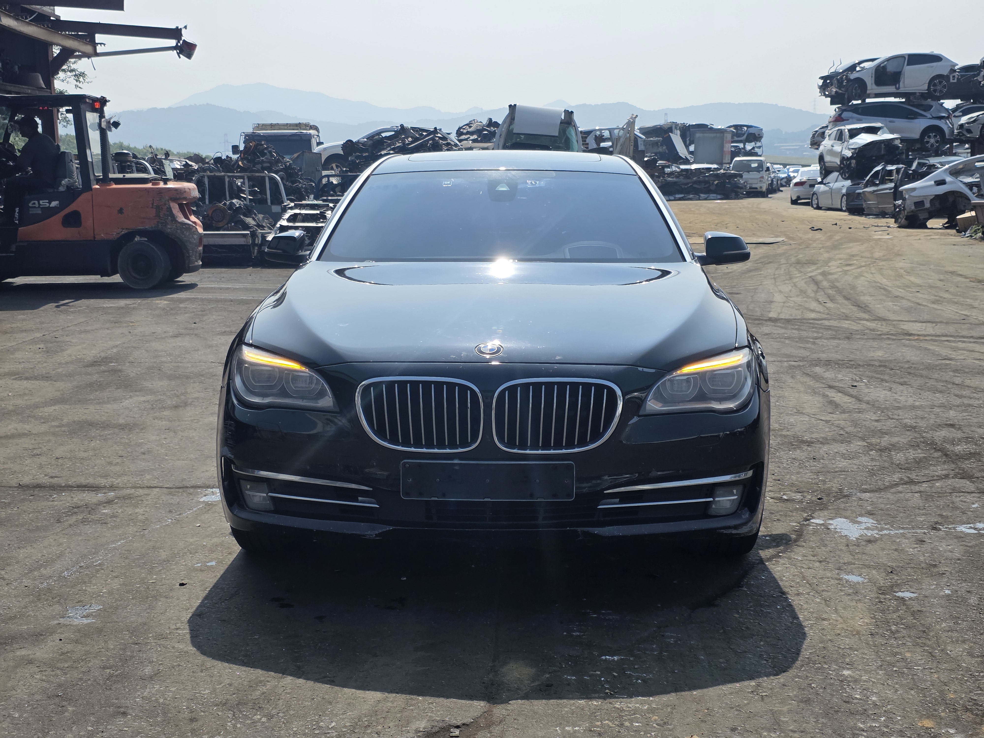 2013 BMW 7 Series (F01)