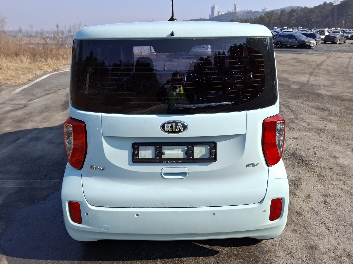 2014 Kia Ray EV