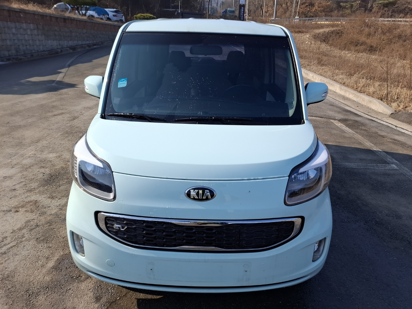 2014 Kia Ray EV