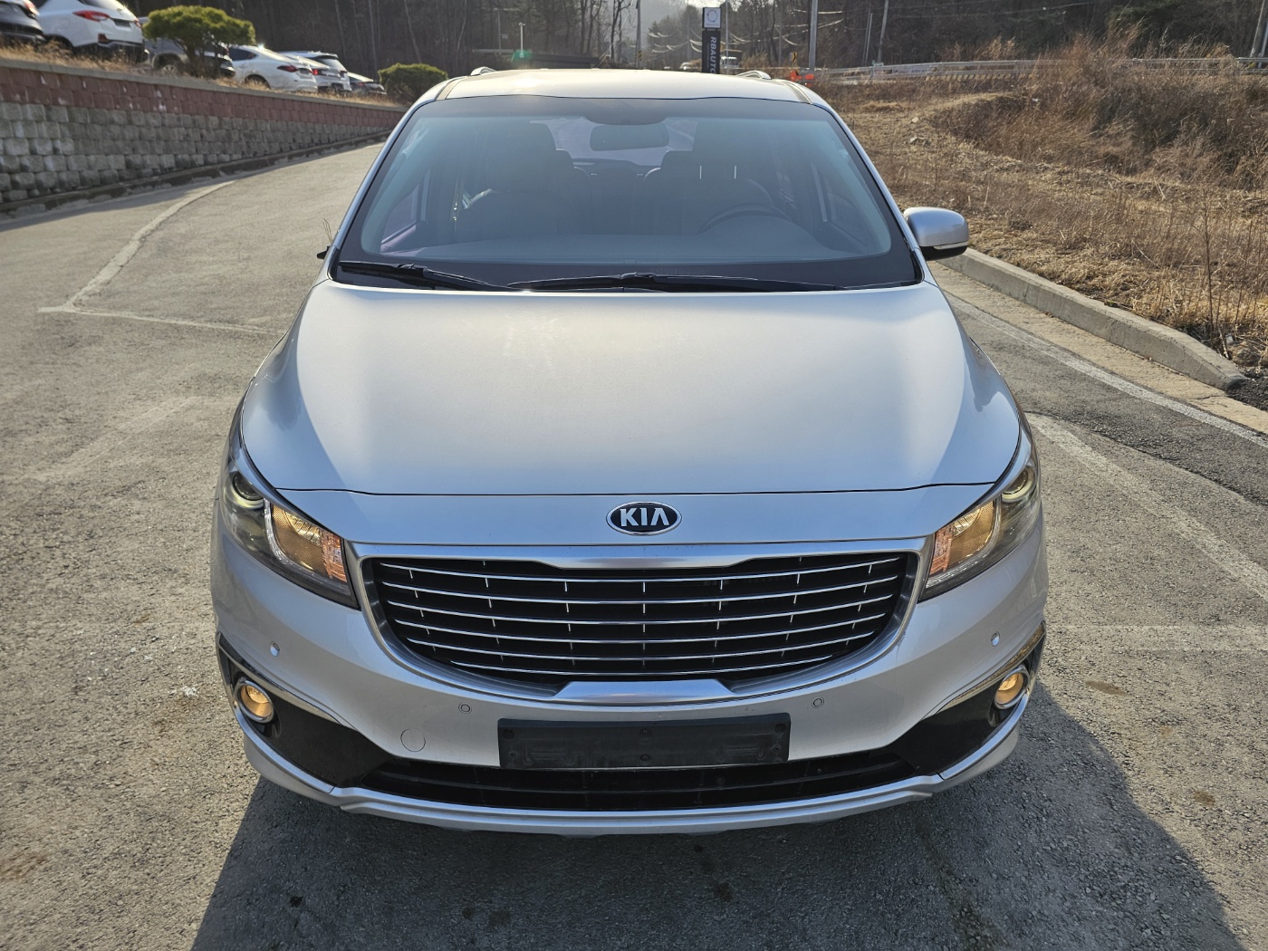 2016 Kia All New Carnival