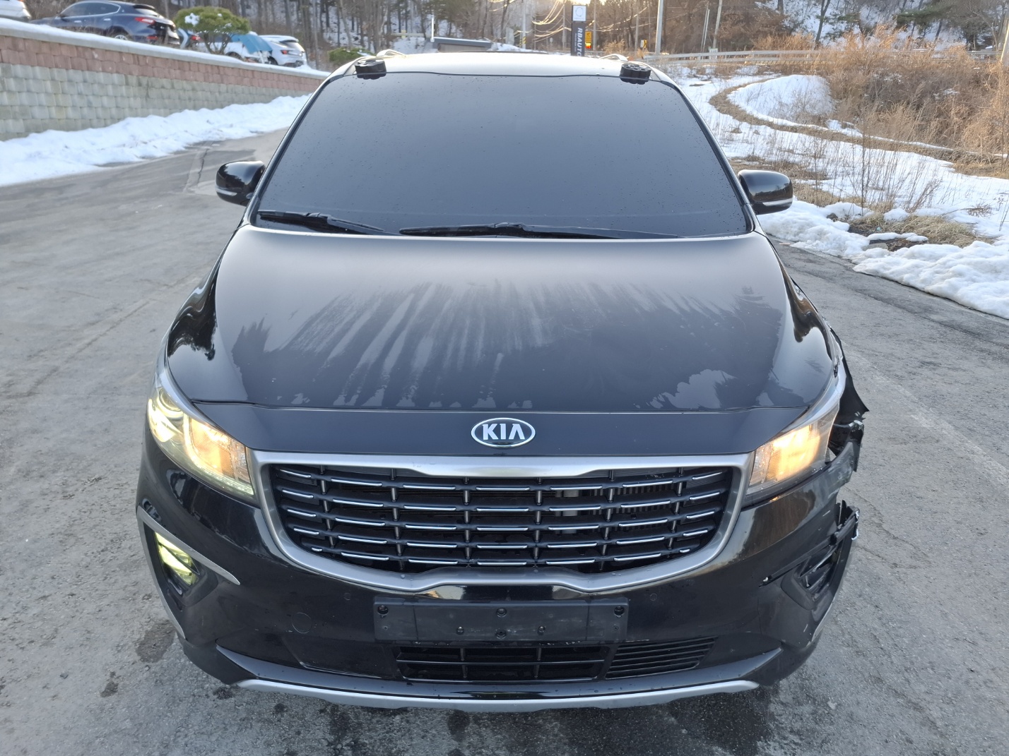 2018 Kia All New Carnival