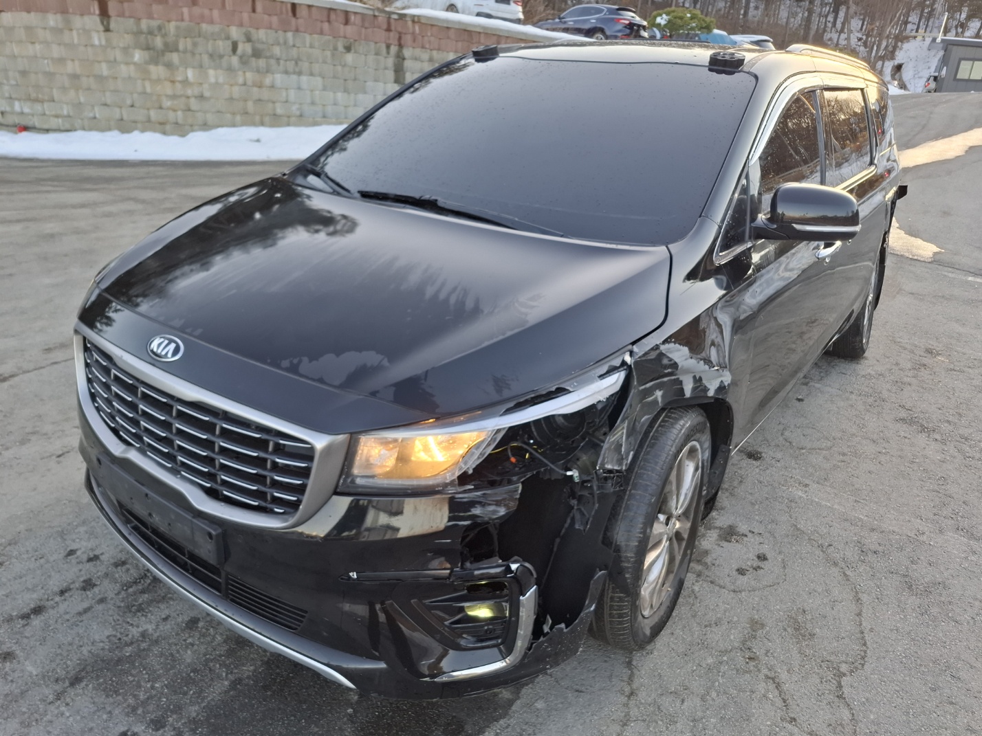 2018 Kia All New Carnival