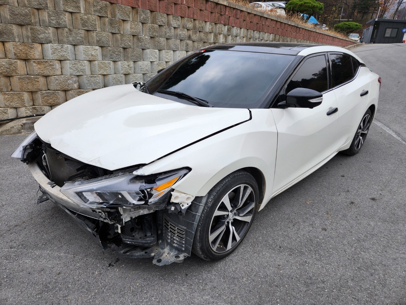 2017 Nissan Maxima(A36)