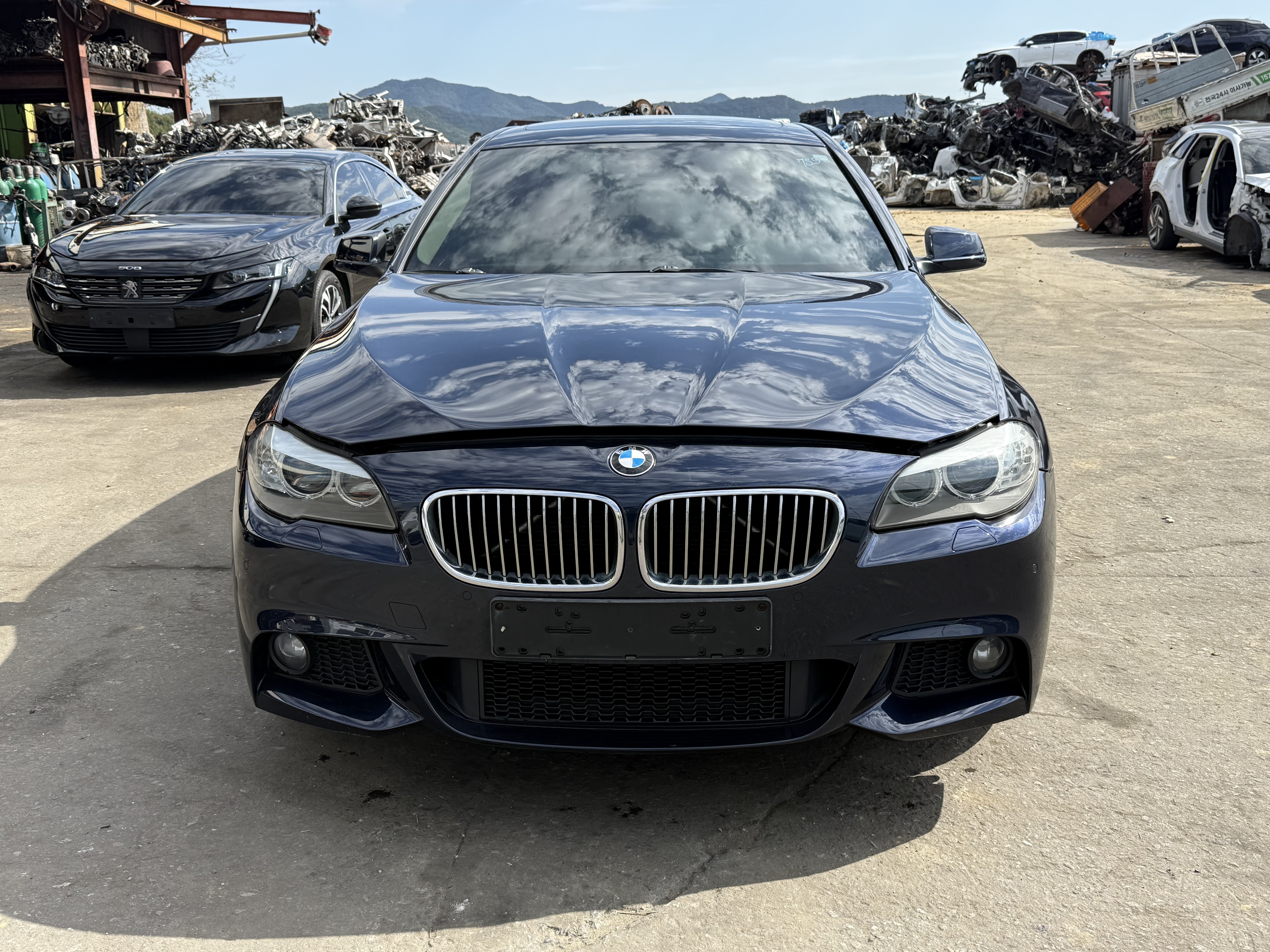 2013 BMW 5 Series (F10)
