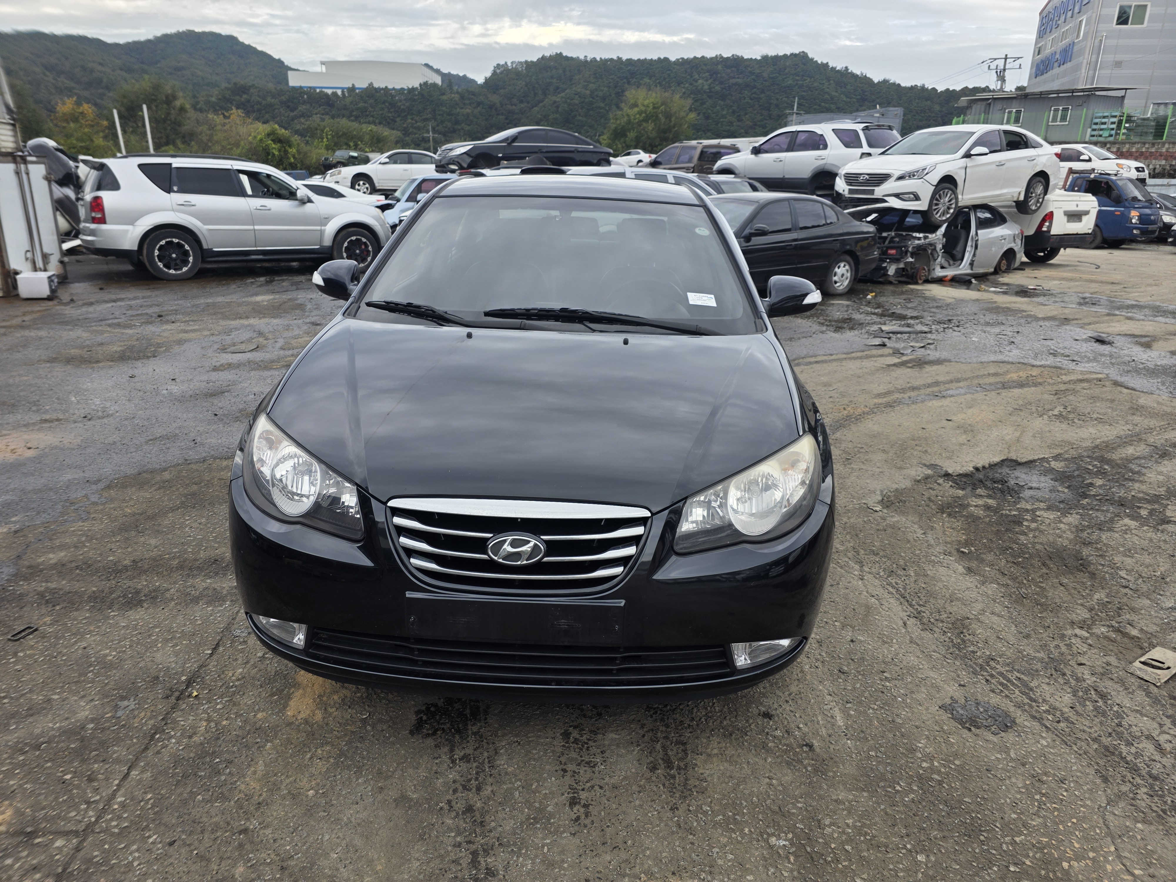 2010 Hyundai Avante HD