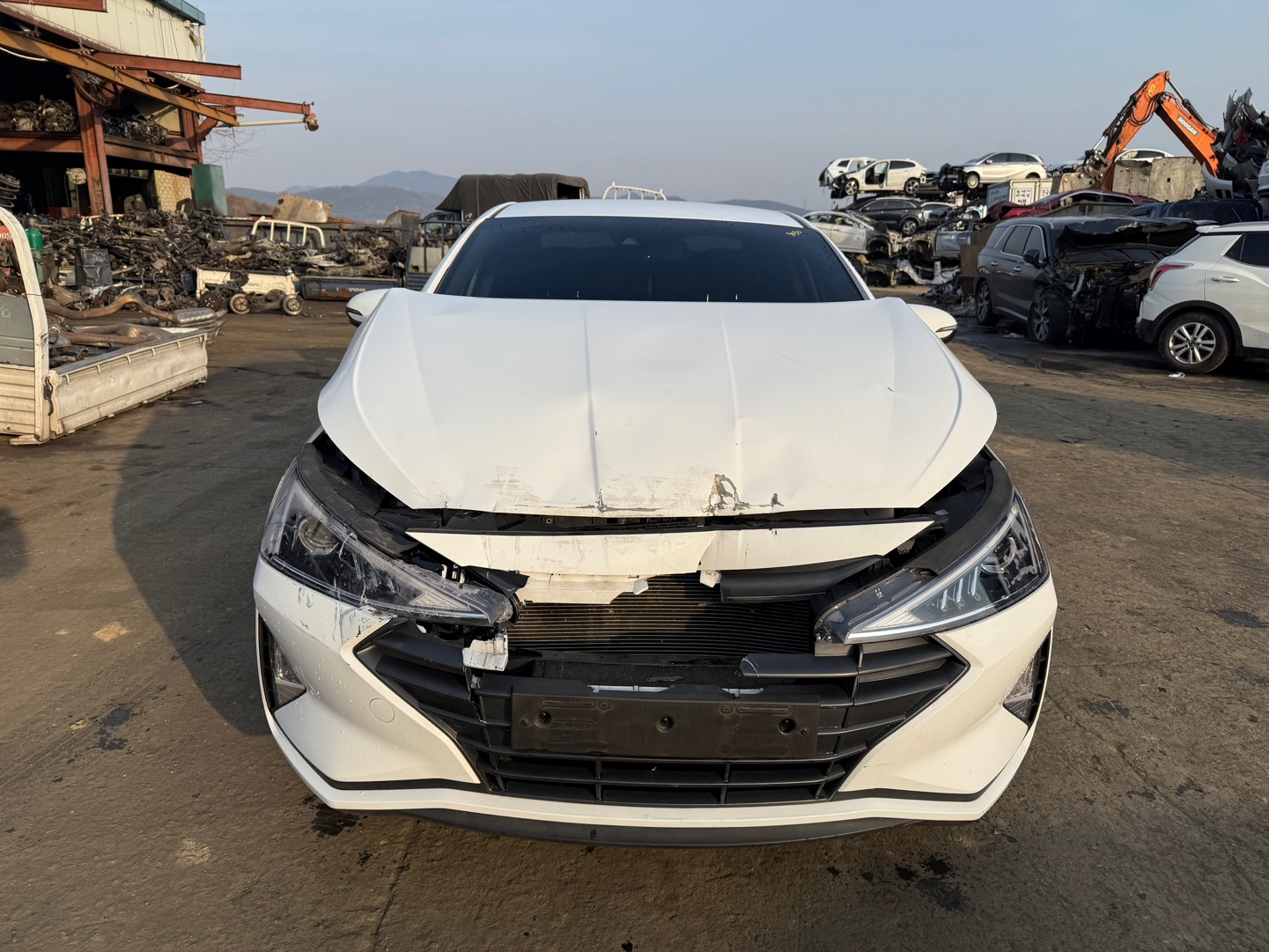 2019 Hyundai Avante AD