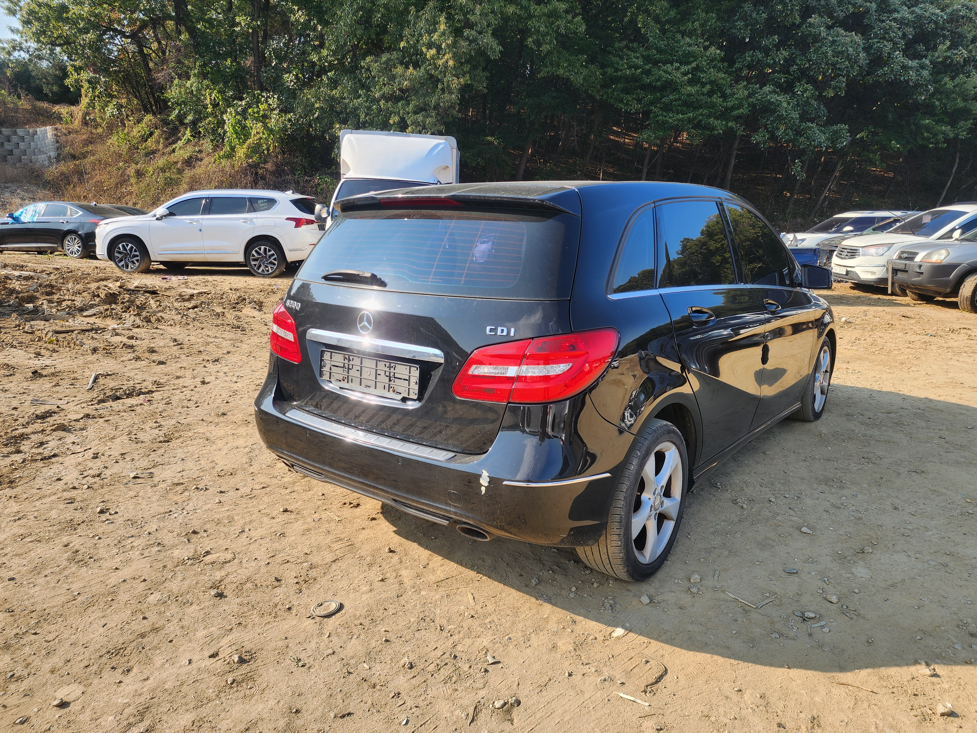 2013 Mercedes Benz B Class W246