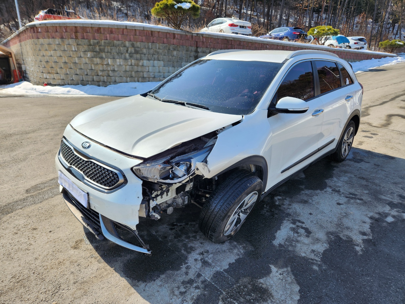 2017 Kia Niro Hybrid