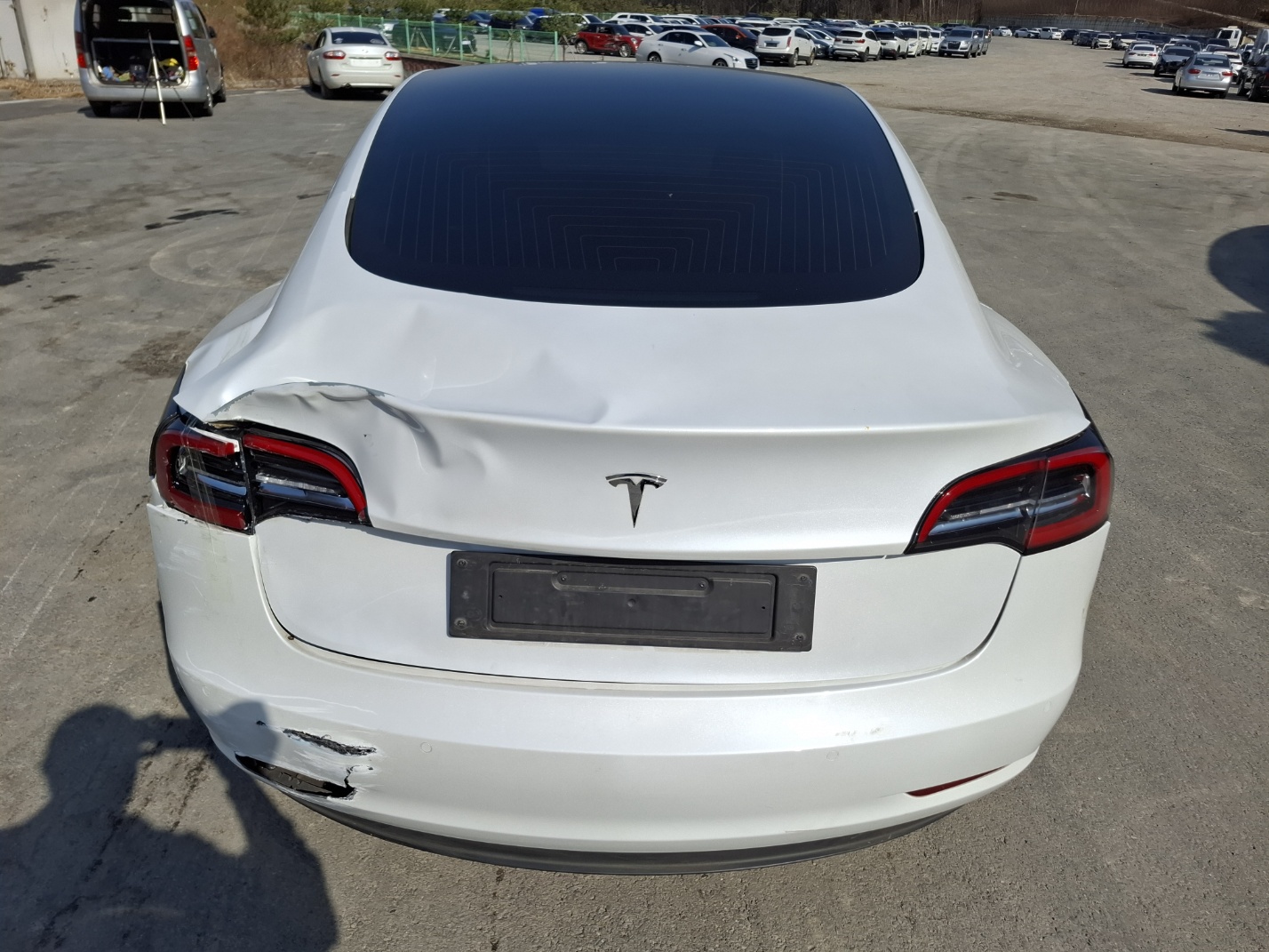 2019 Tesla MODEL 3 Standrad Range Plus