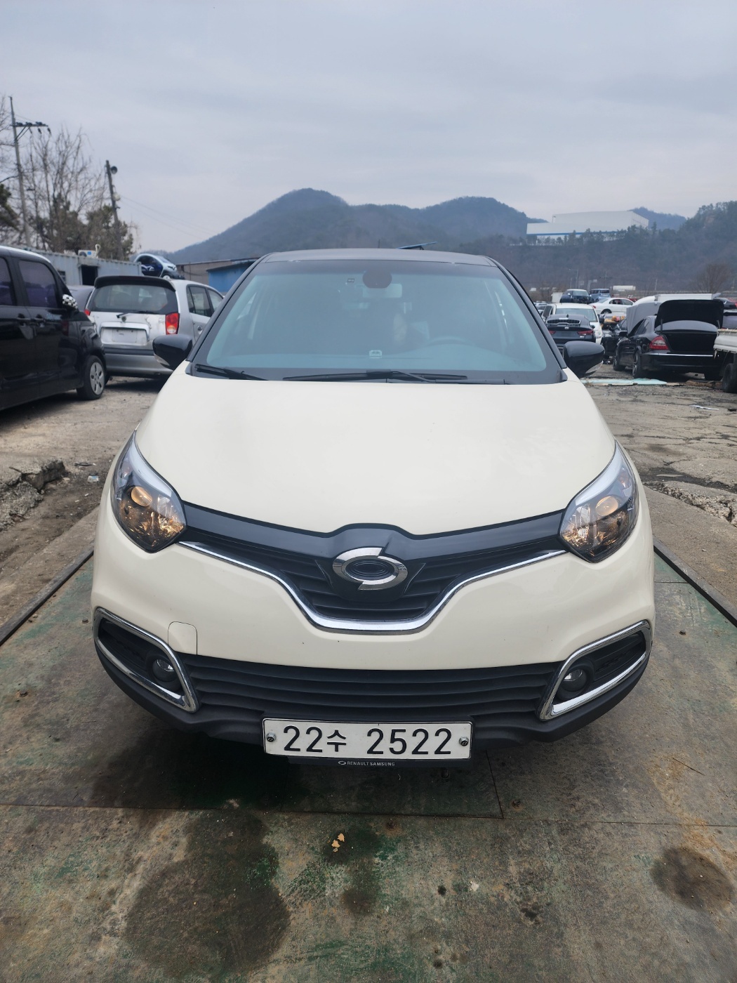 2015 Renault QM3
