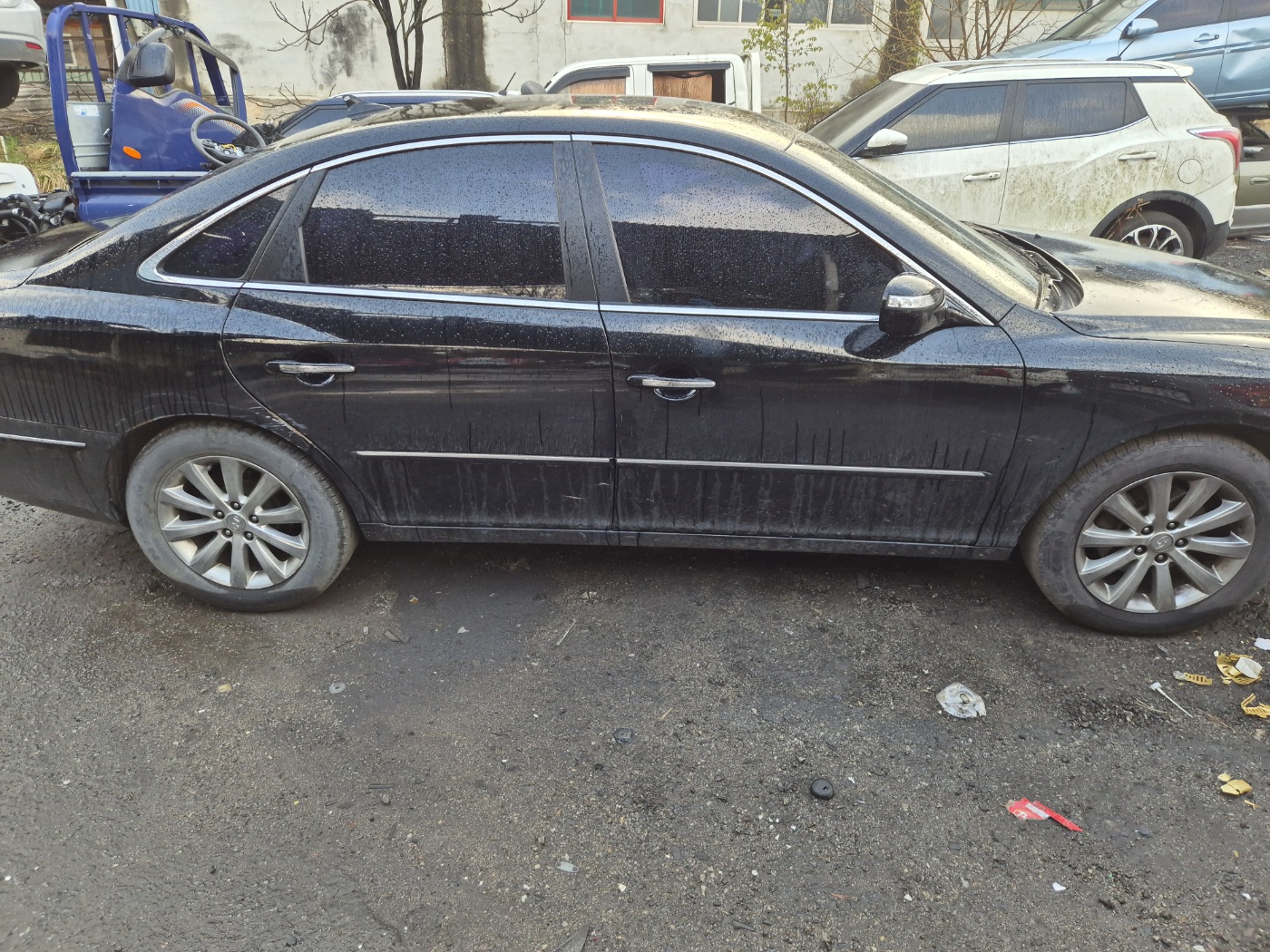 2010 Hyundai The Luxury Grandeur