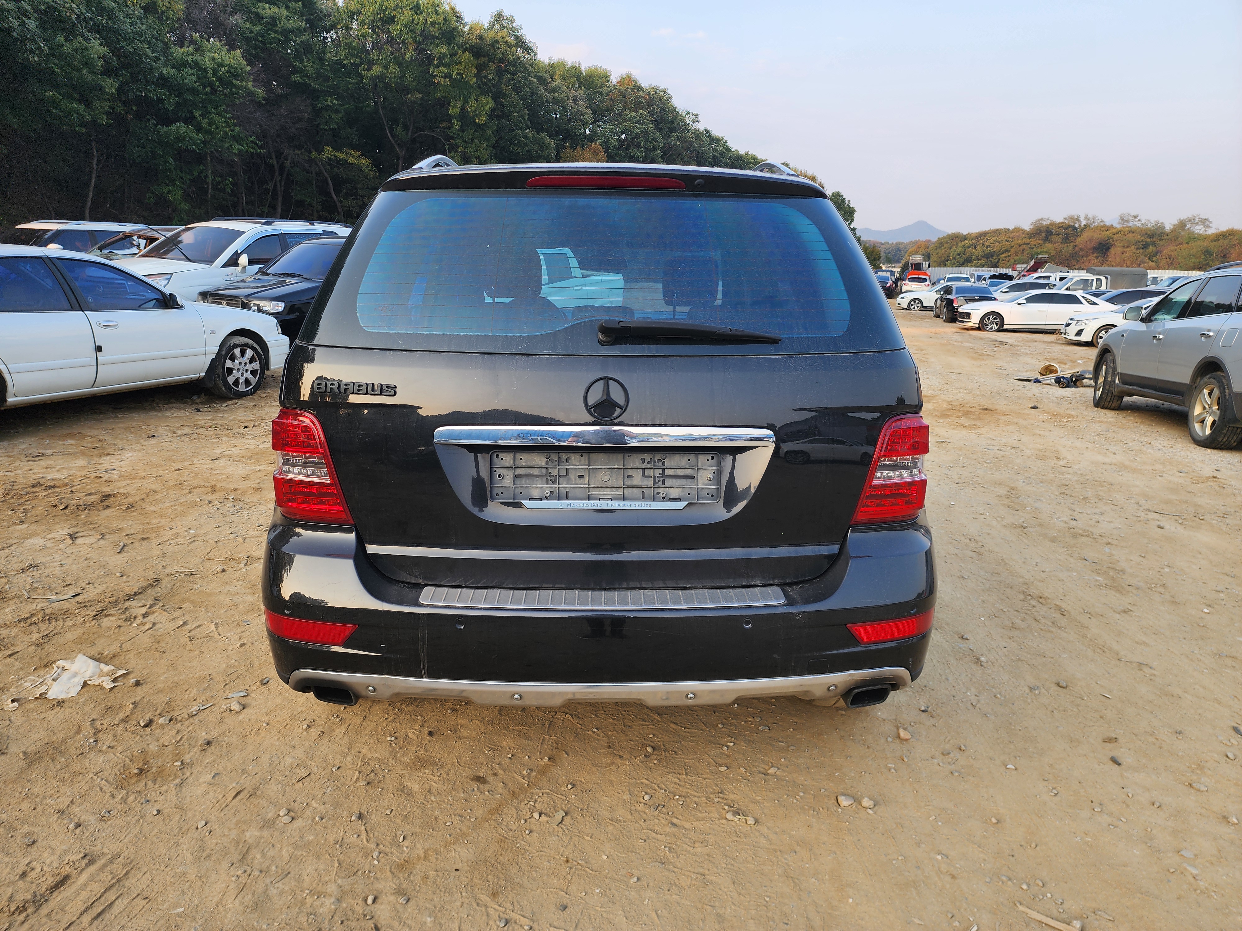 2011 Mercedes Benz M Class W164