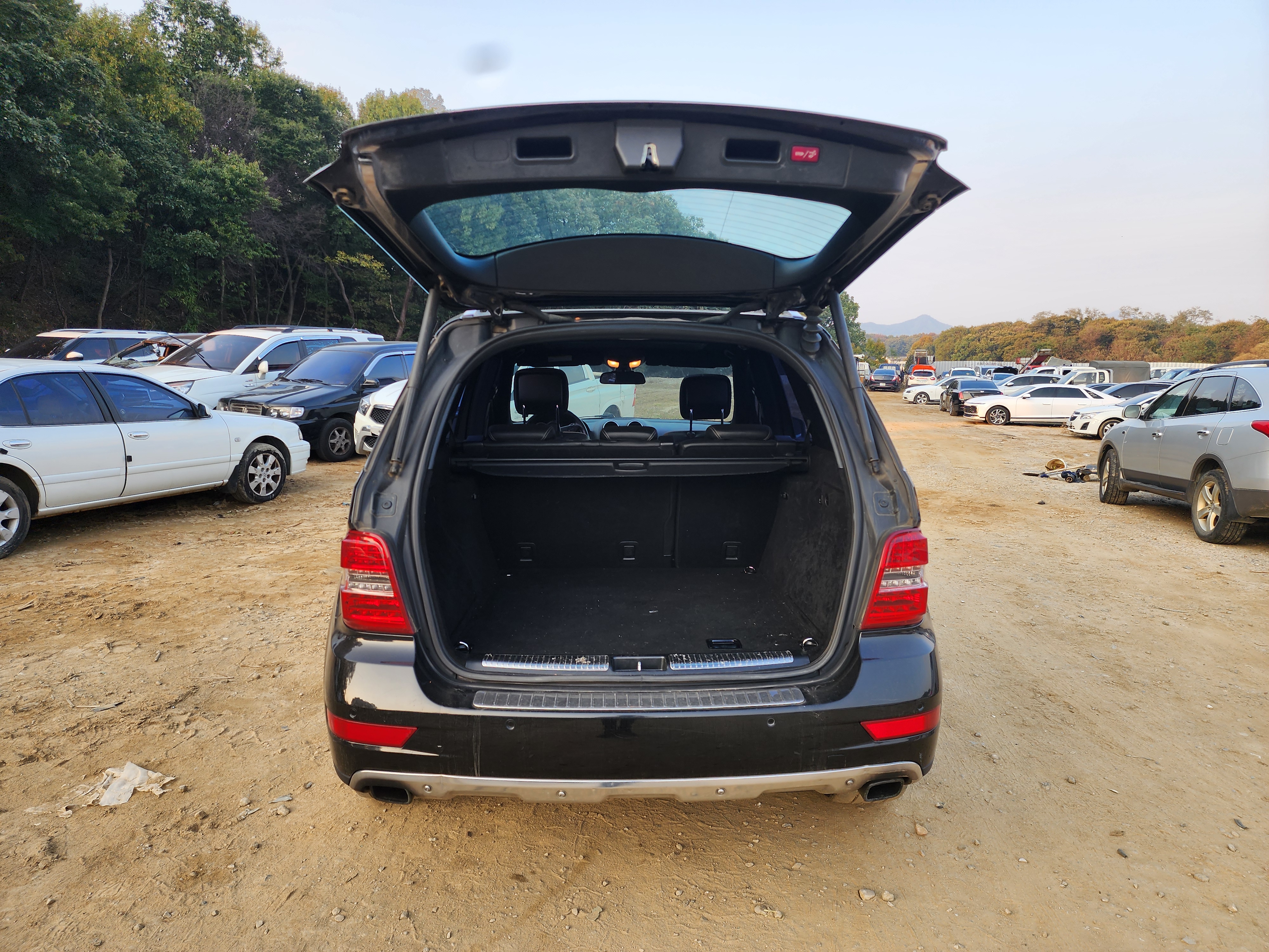 2011 Mercedes Benz M Class W164