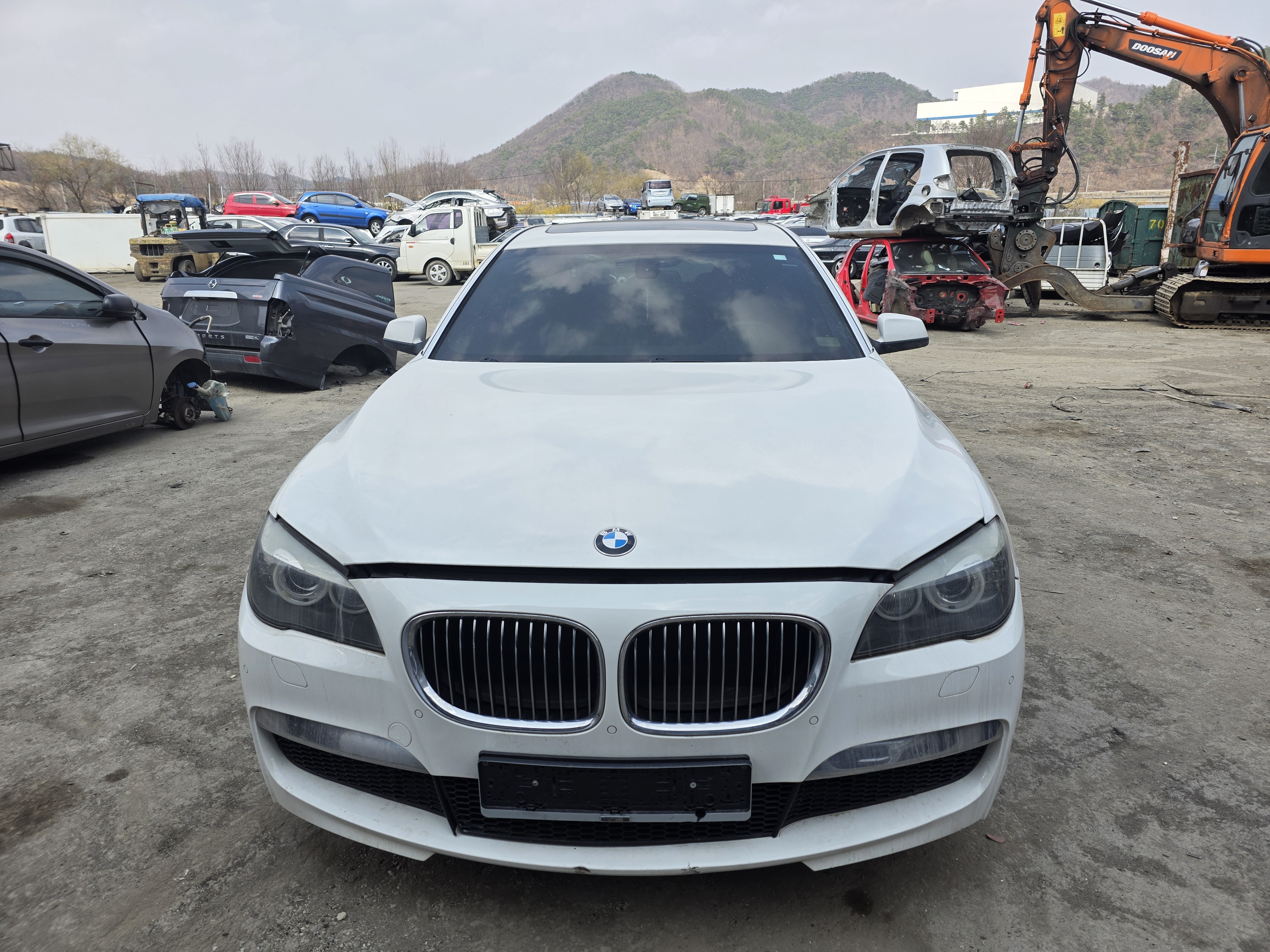 2010 BMW 7 Series (F01)