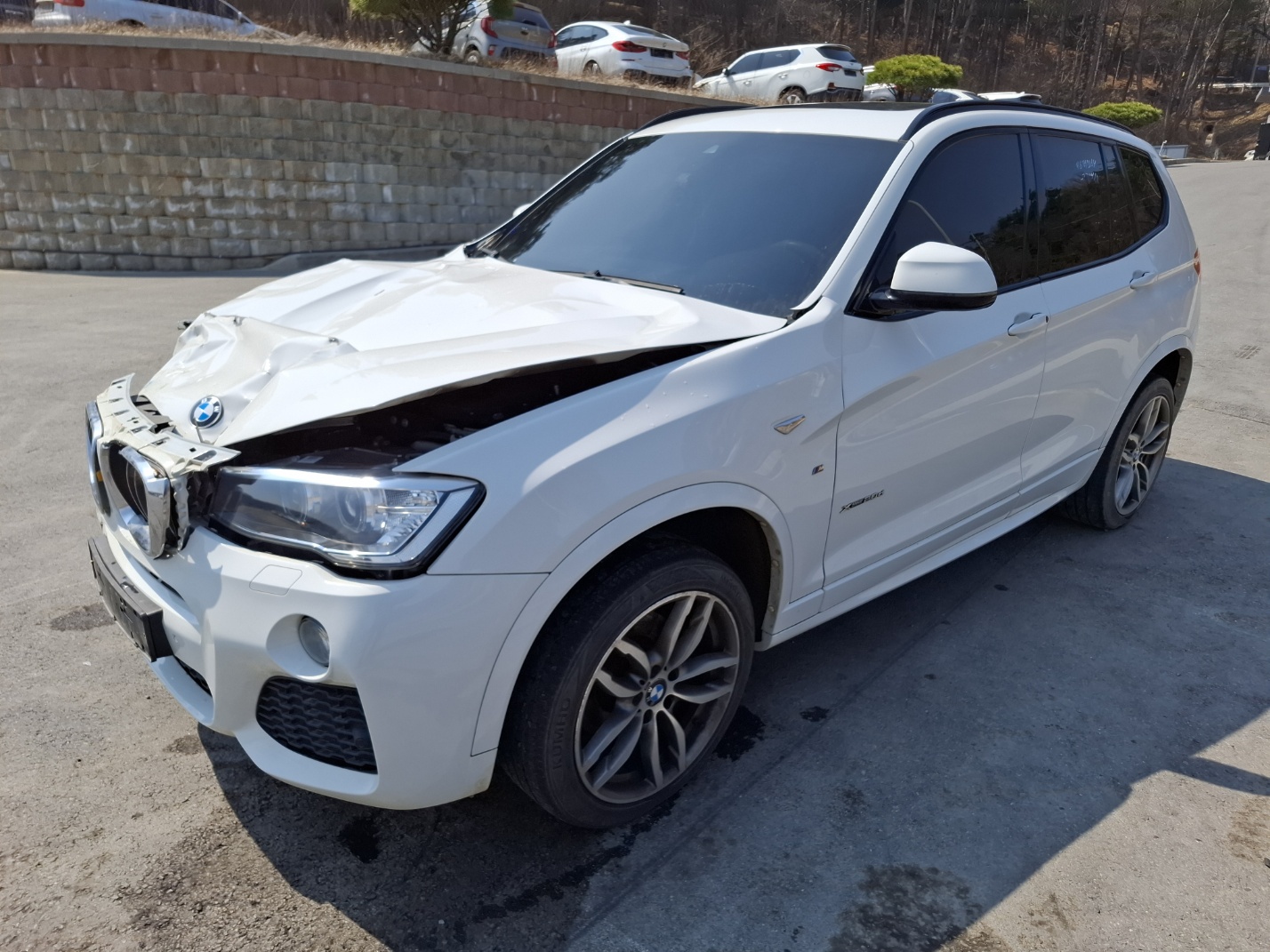 2017 BMW X3 (F25) 