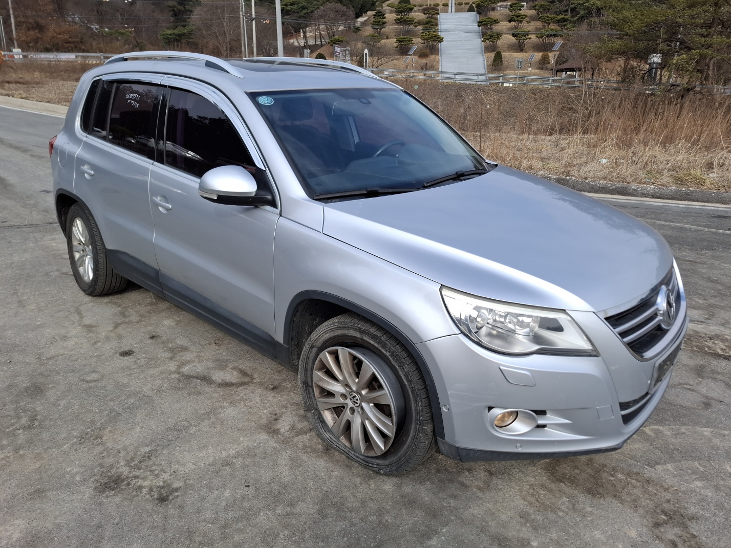 2010 Volkswagen Tiguan