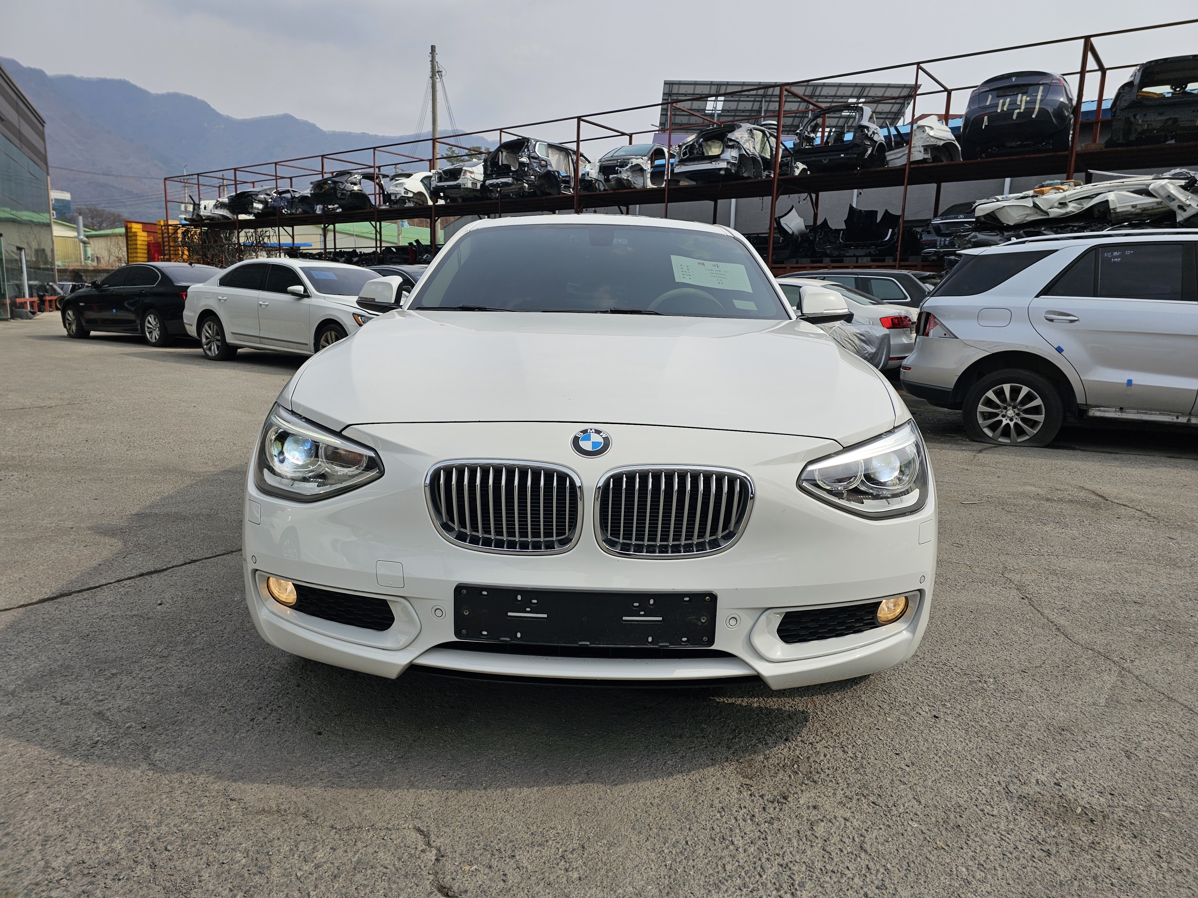 2013 BMW 1 Series (F20)