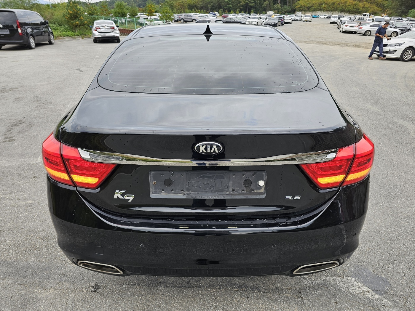 2013 Kia K9