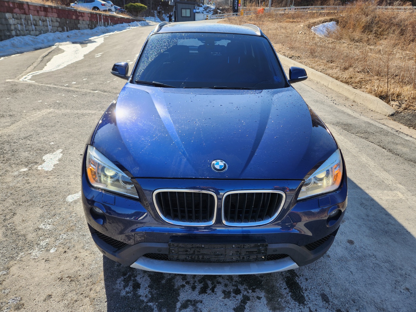2014 BMW X1 (E84)