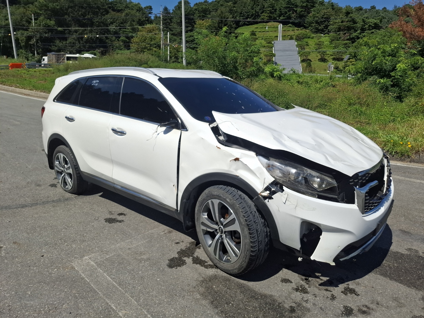 2018 Kia The New Sorento