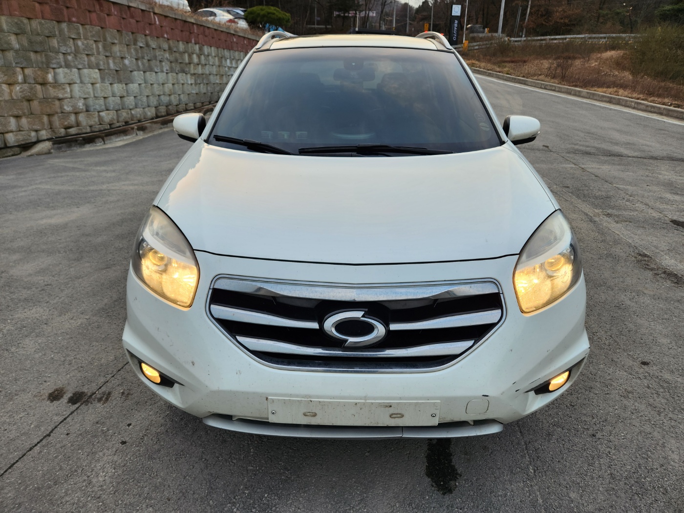 2013 Renault New QM5
