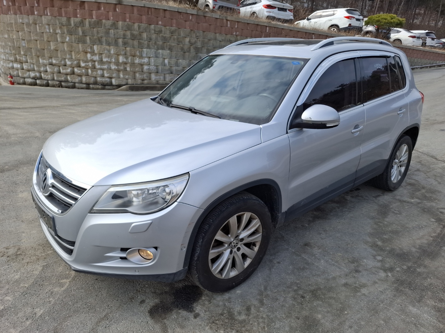 2010 Volkswagen Tiguan