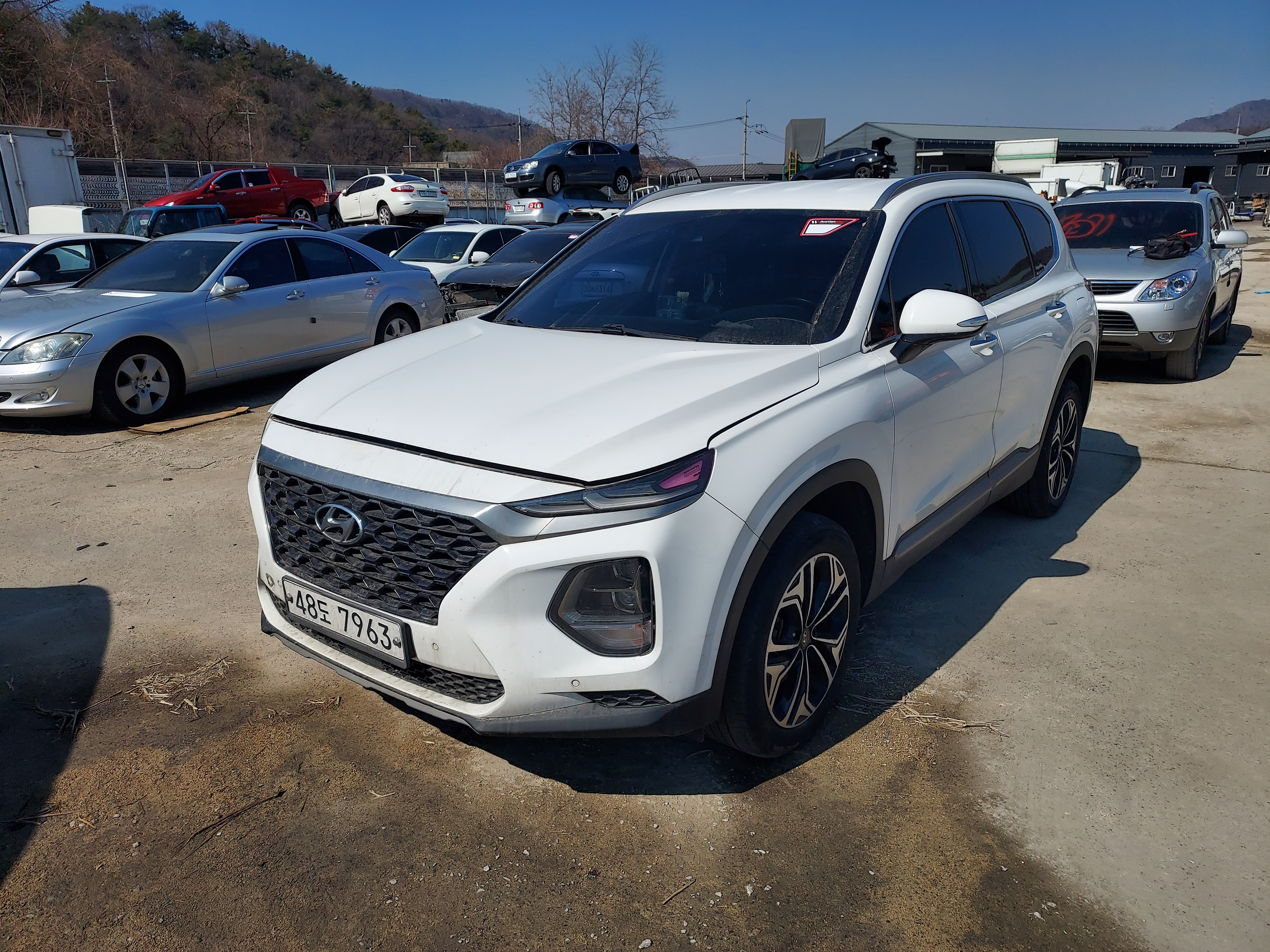 2019 Hyundai Santa Fe TM