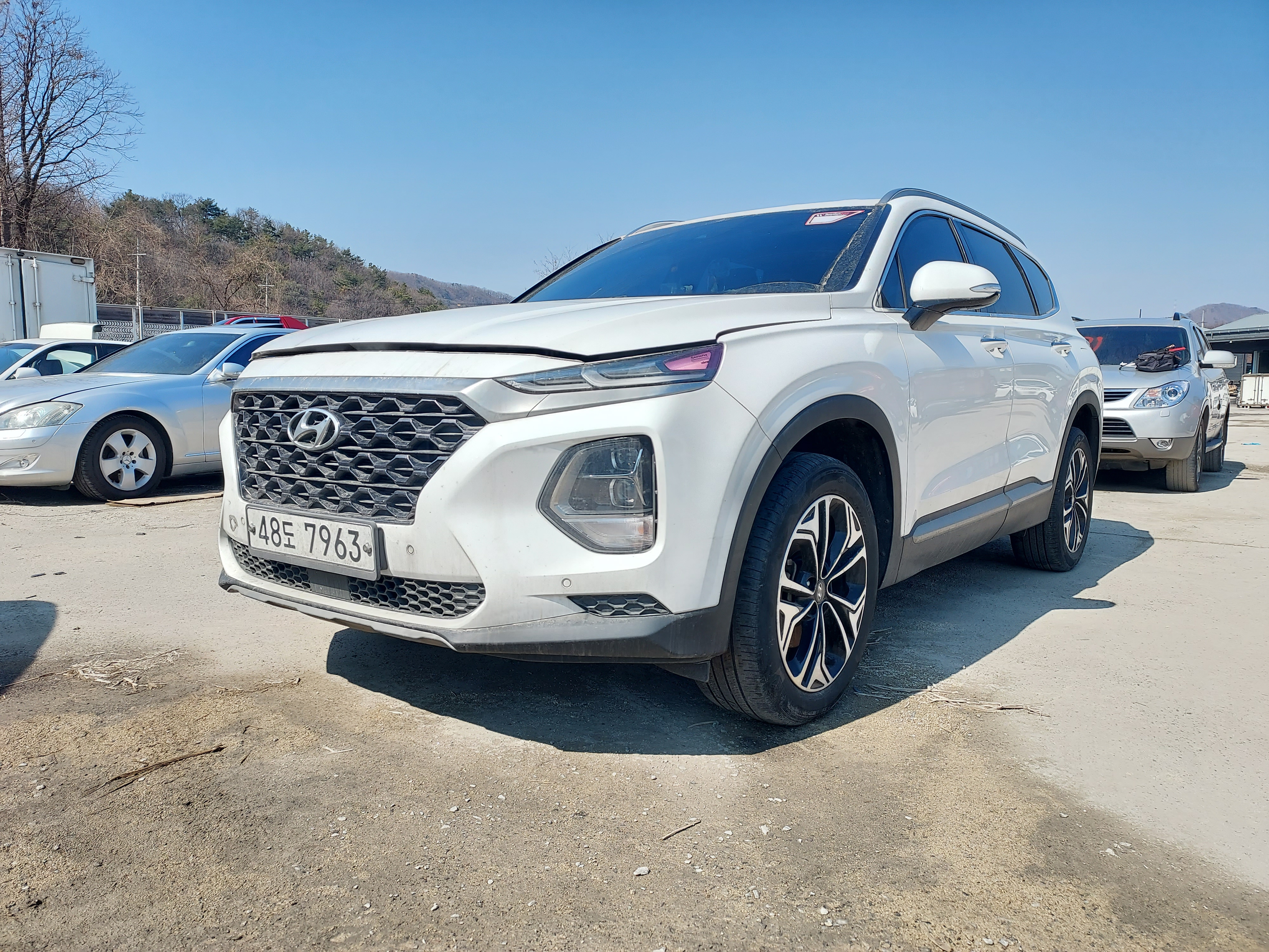 2019 Hyundai Santa Fe TM
