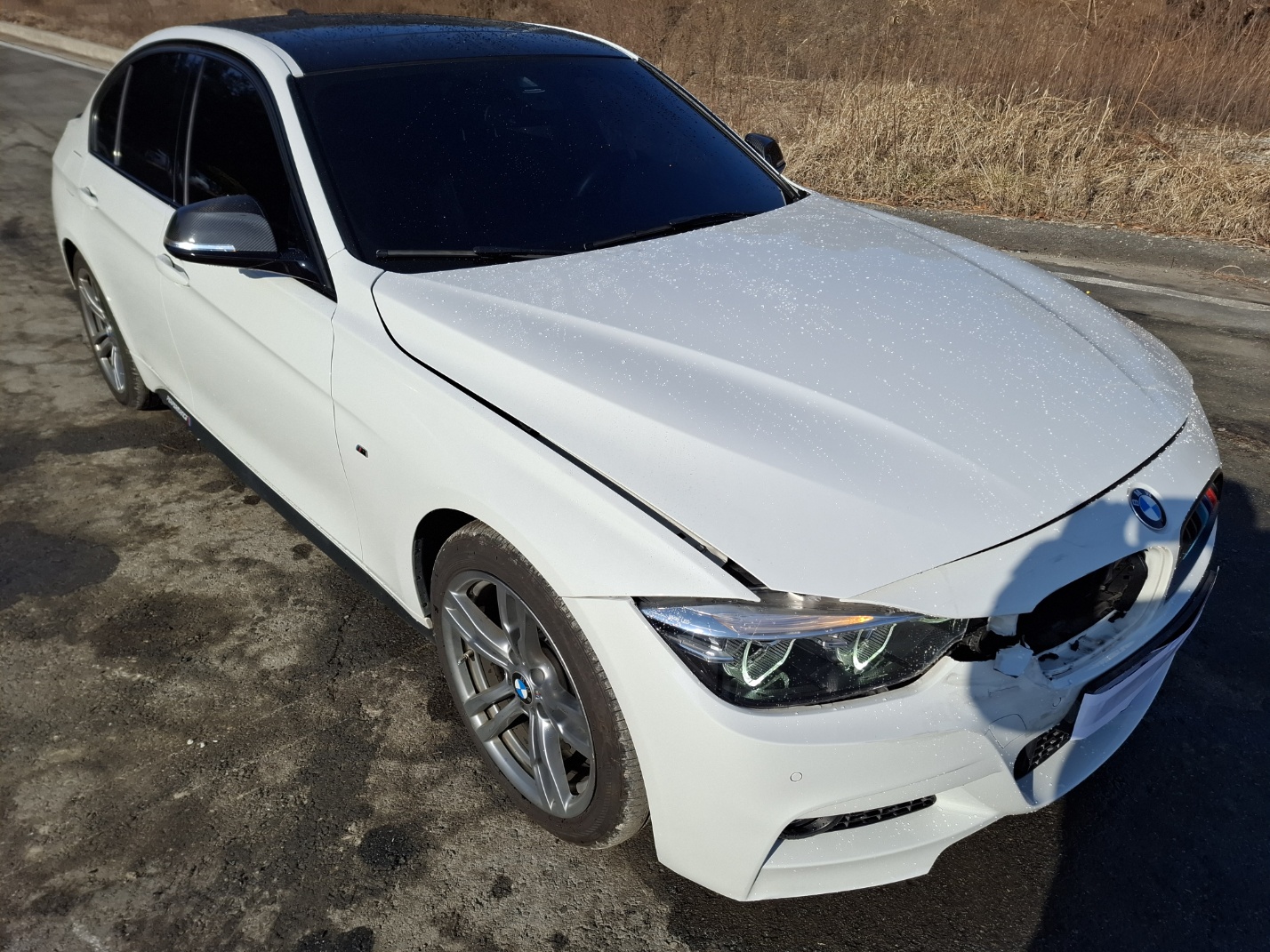2018 BMW 3 Series (F30)