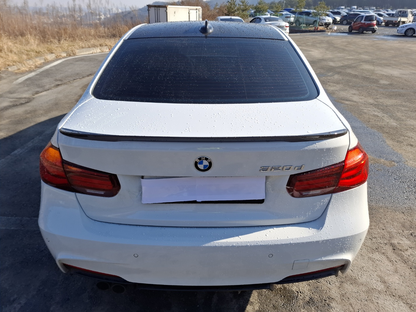 2018 BMW 3 Series (F30)