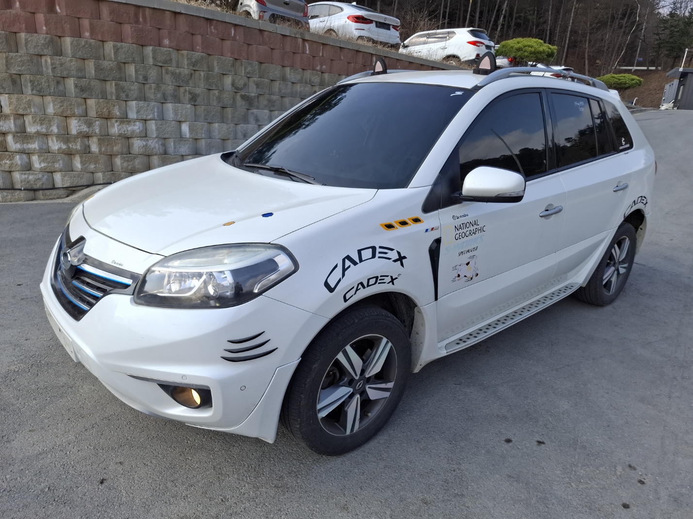 2014 Renault QM5 Neo