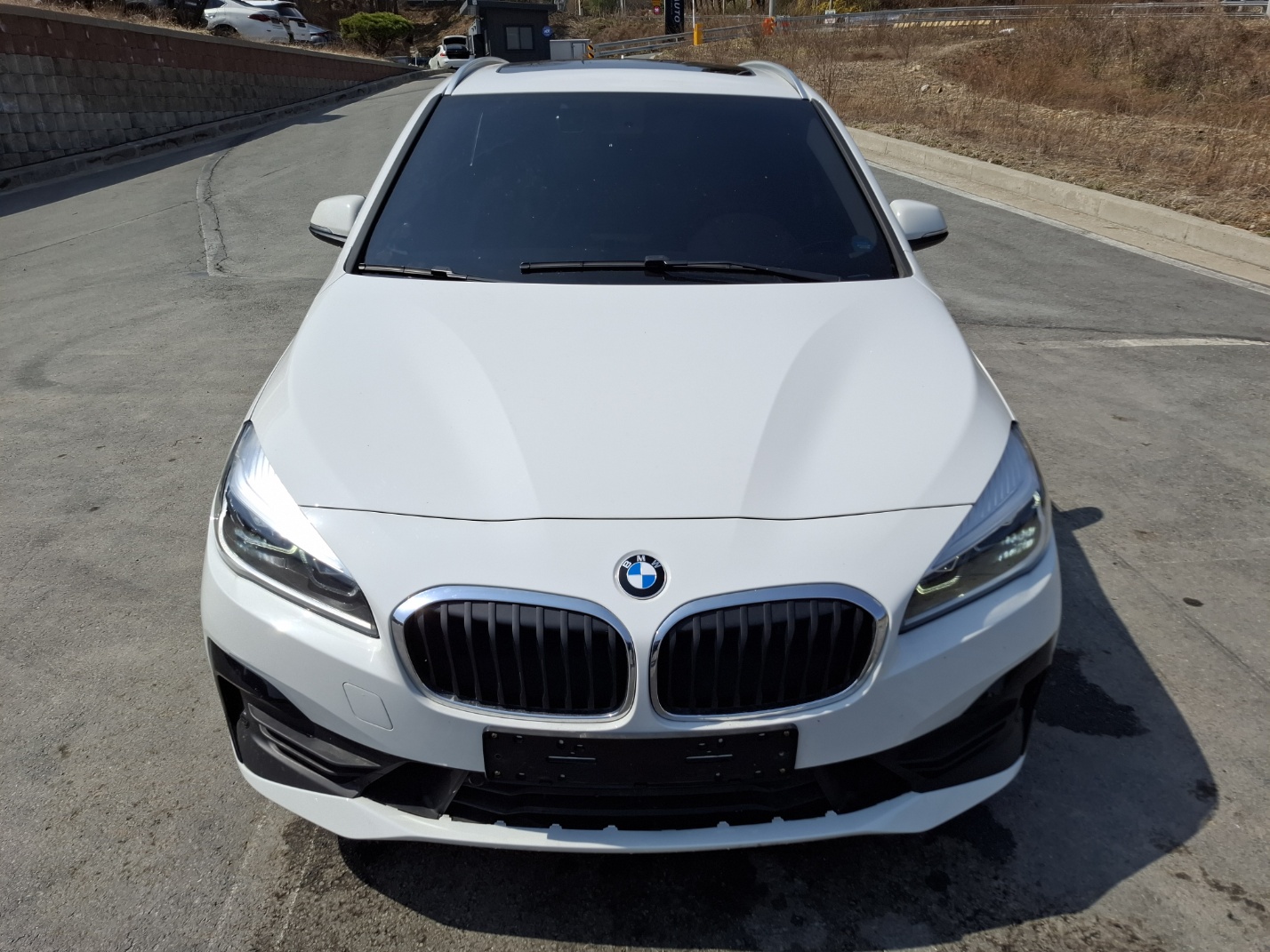 2019 BMW 2 Series Active Tourer (F45)