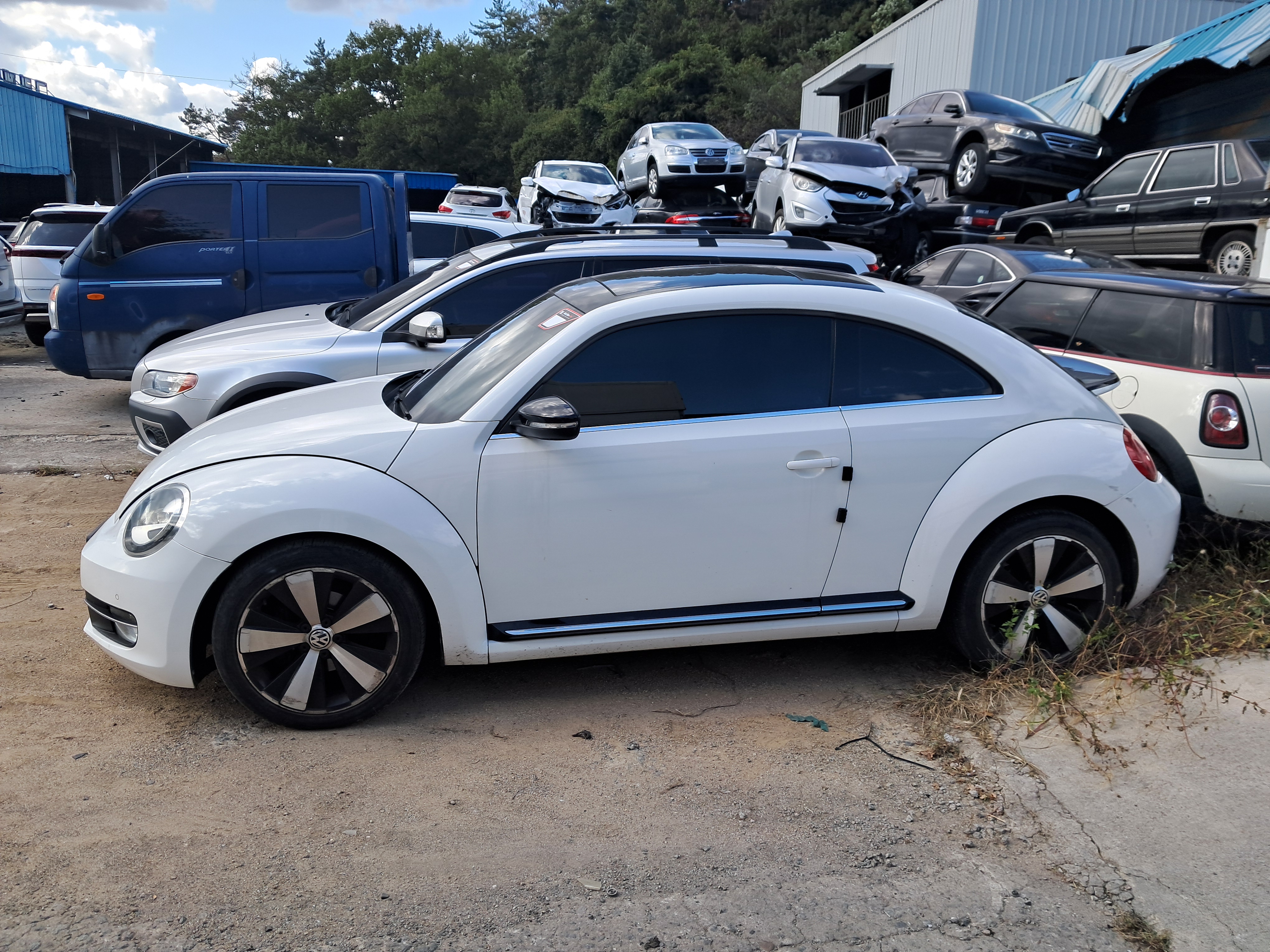 2013 Volkswagen The Beetle
