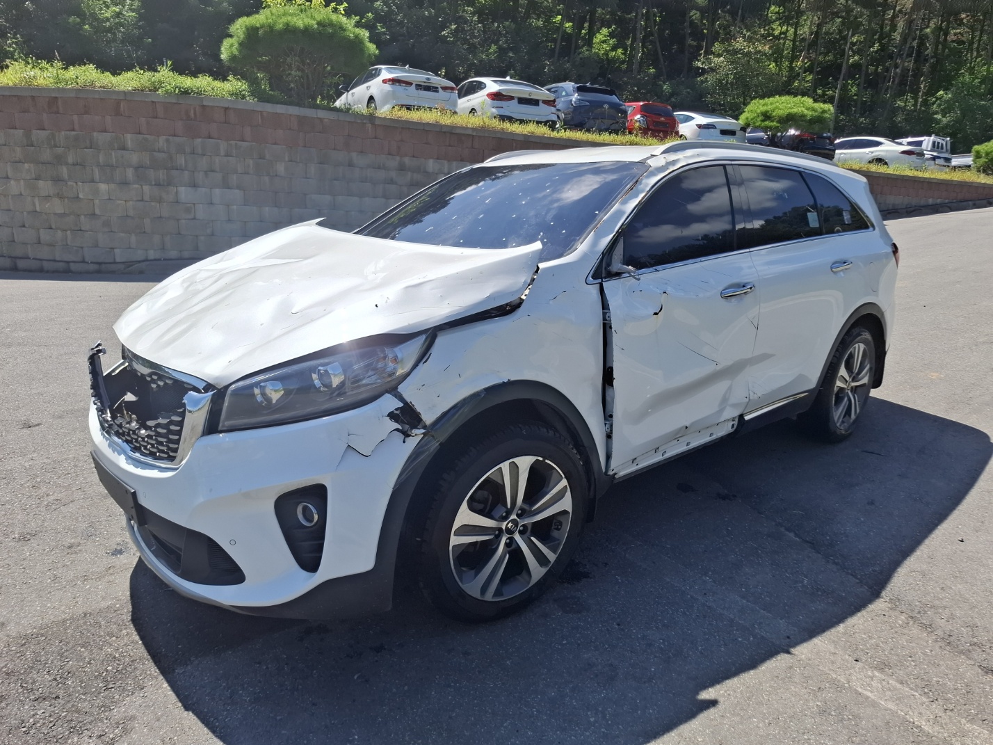 2018 Kia The New Sorento