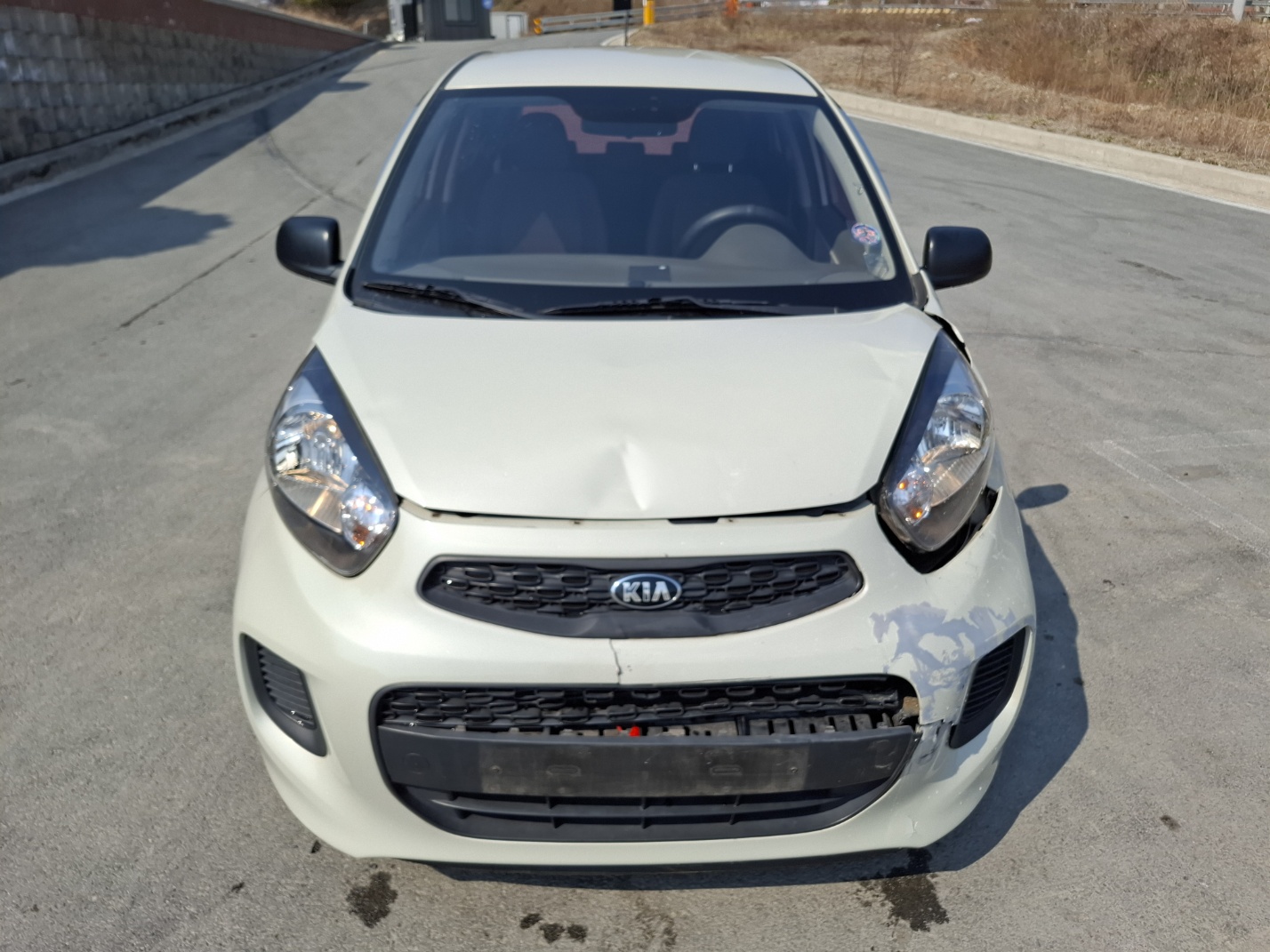 2016 Kia The New Morning