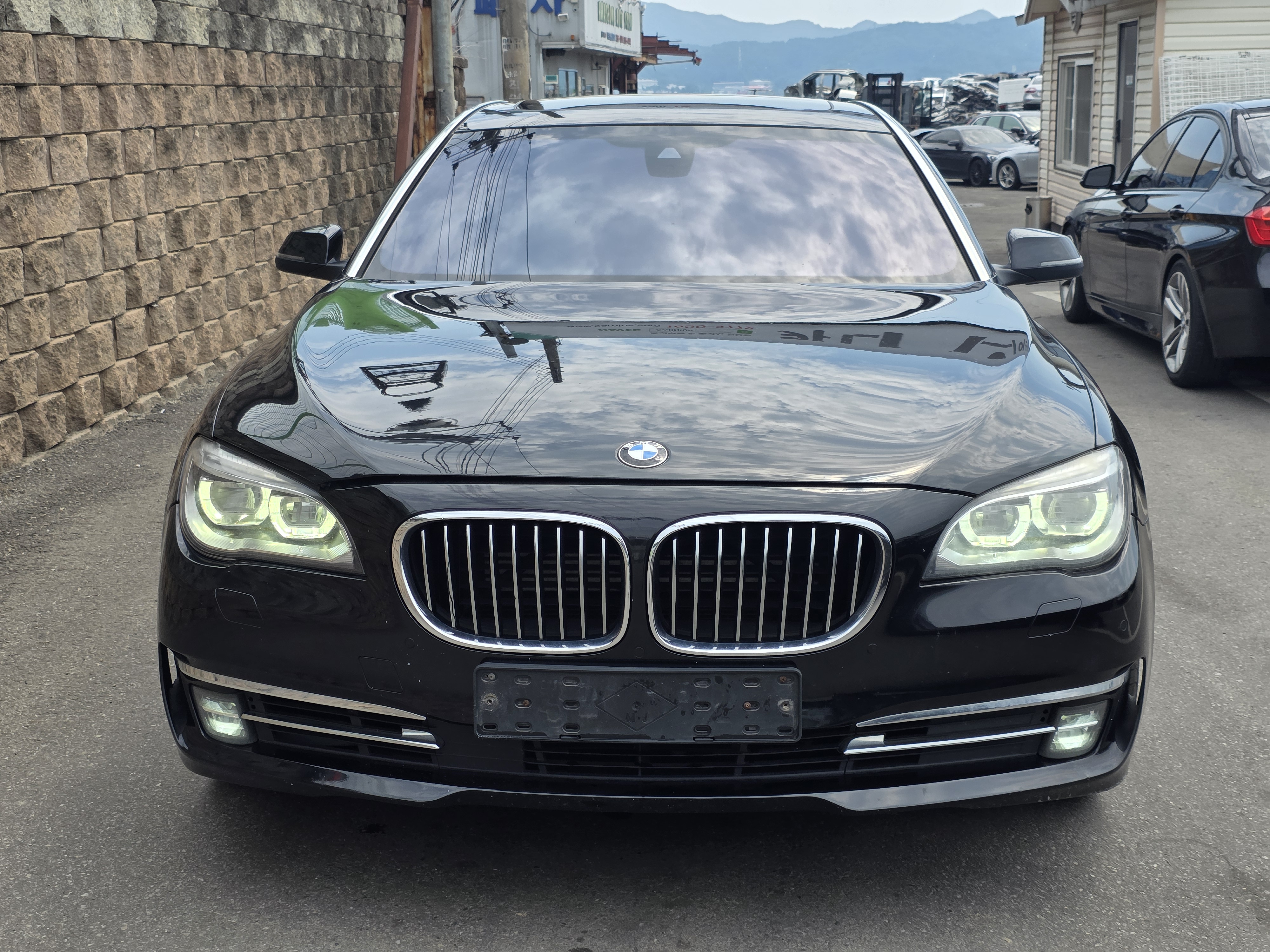 2013 BMW 7 Series (F01)
