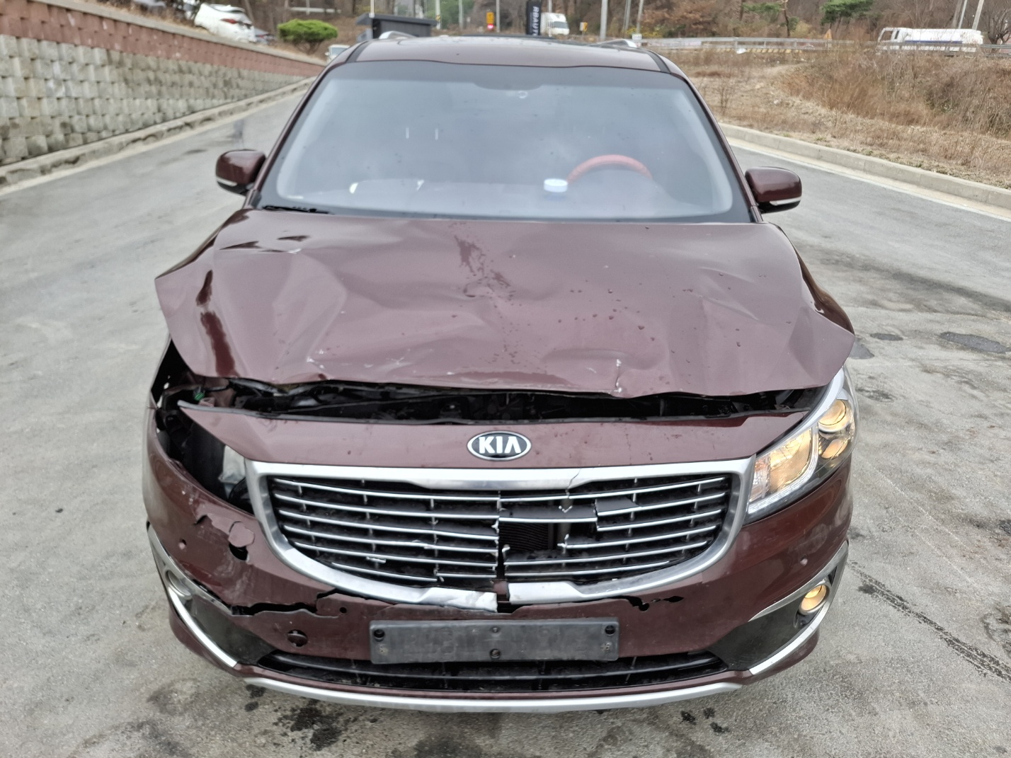 2016 Kia All New Carnival