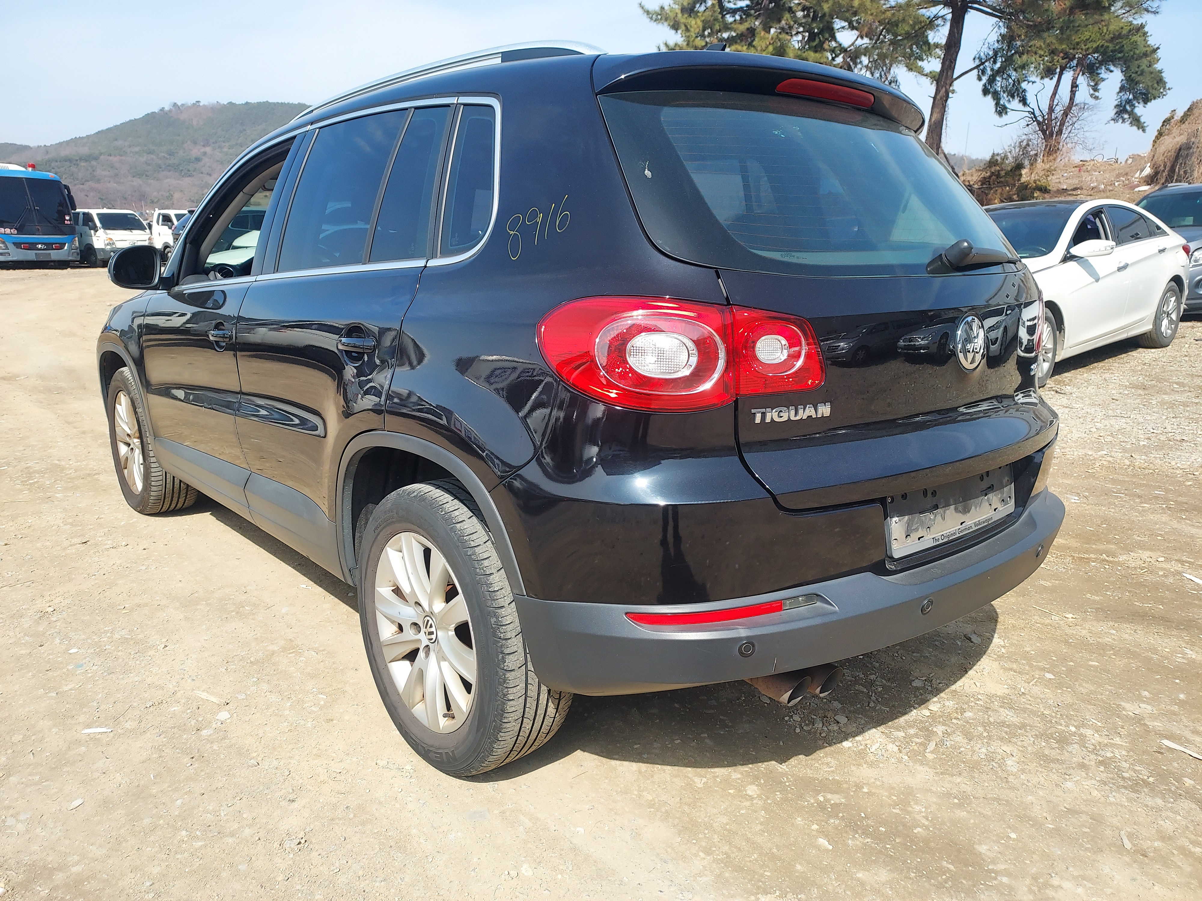 2010 Volkswagen Tiguan