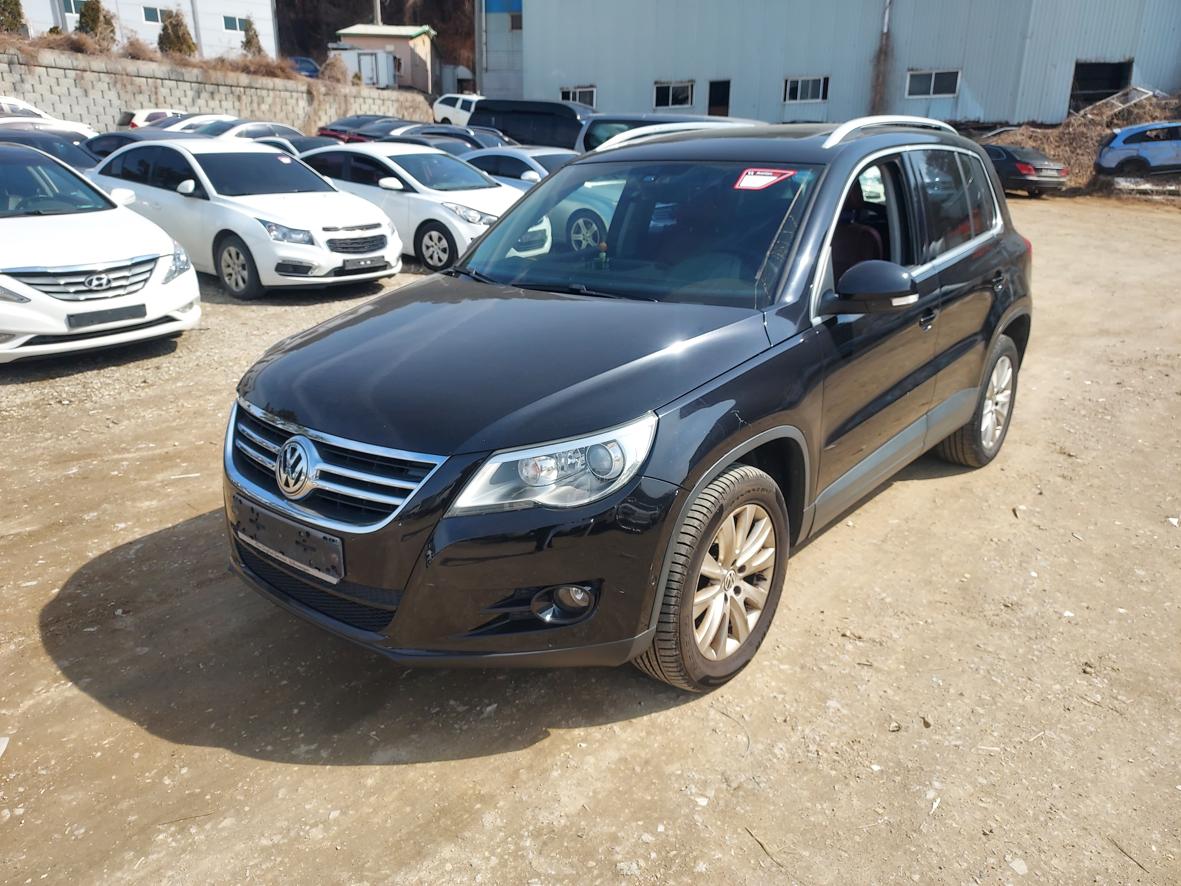 2010 Volkswagen Tiguan