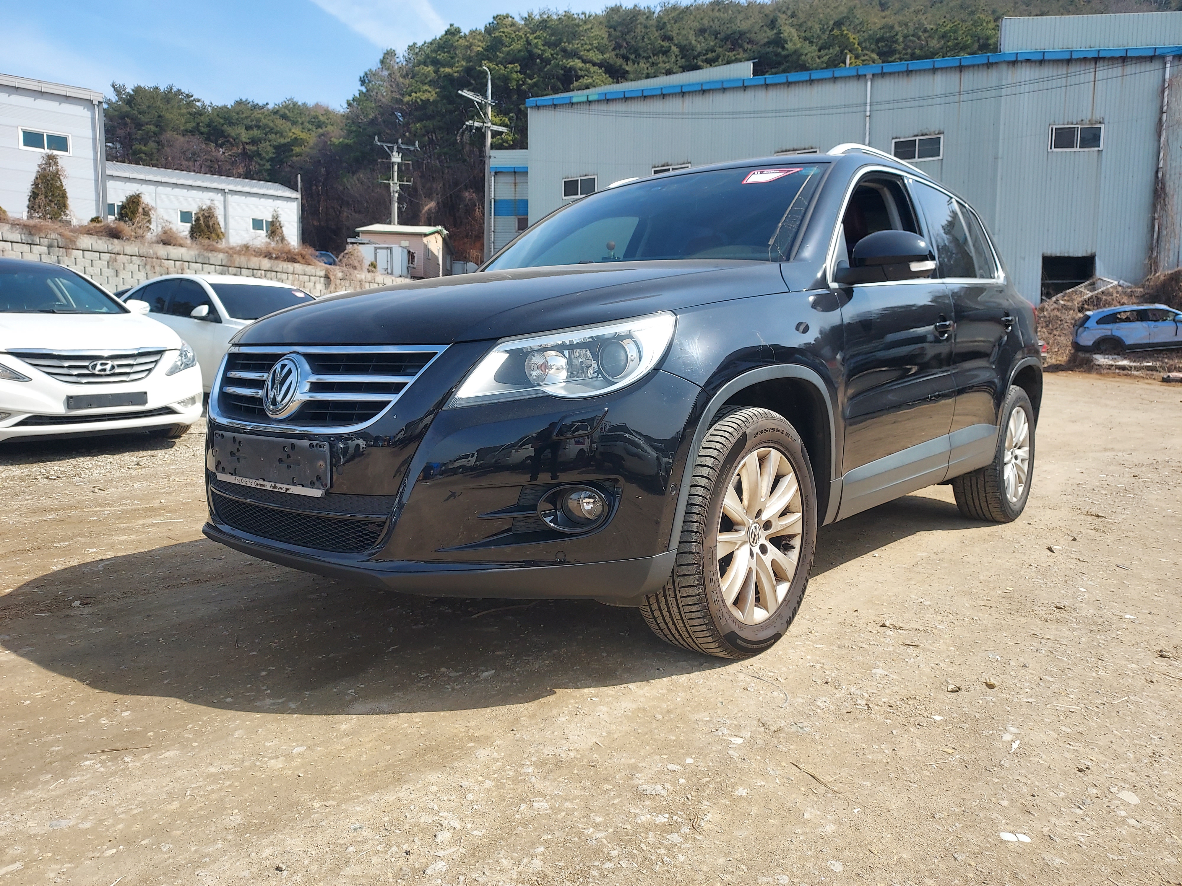 2010 Volkswagen Tiguan