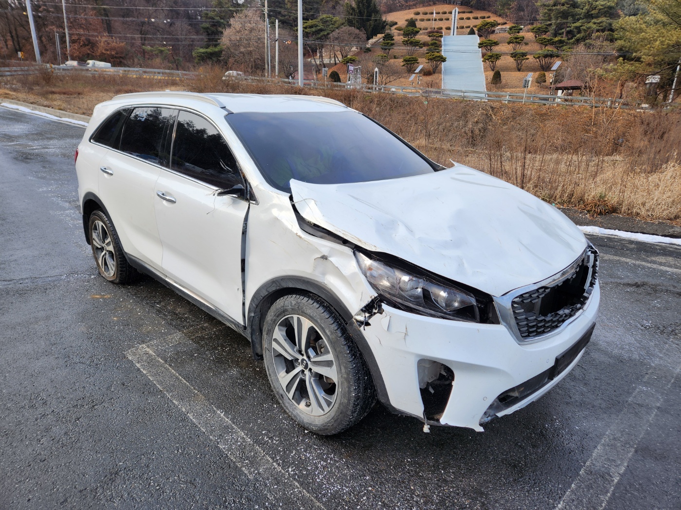 2018 Kia The New Sorento